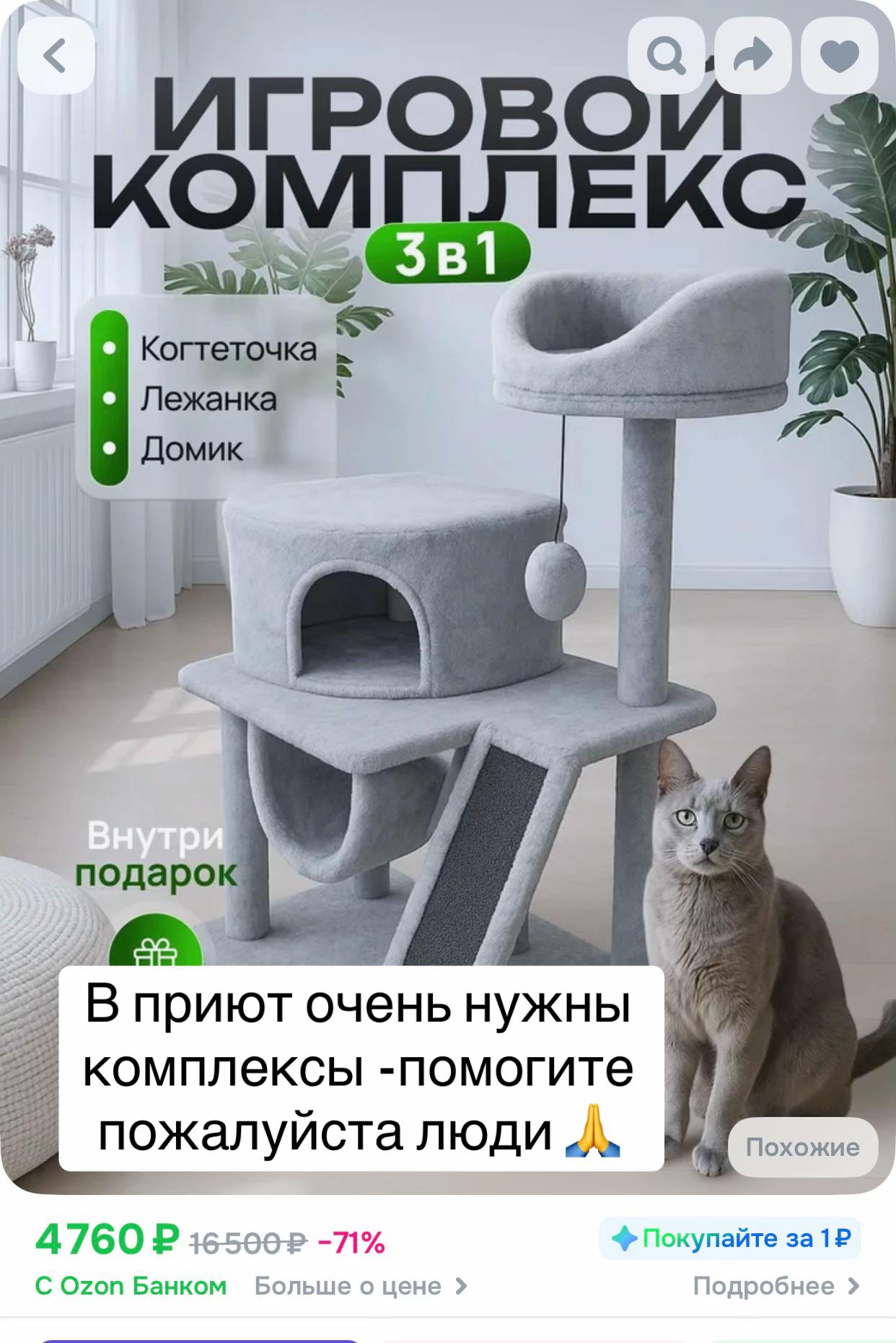 @zoo_cat_dog
