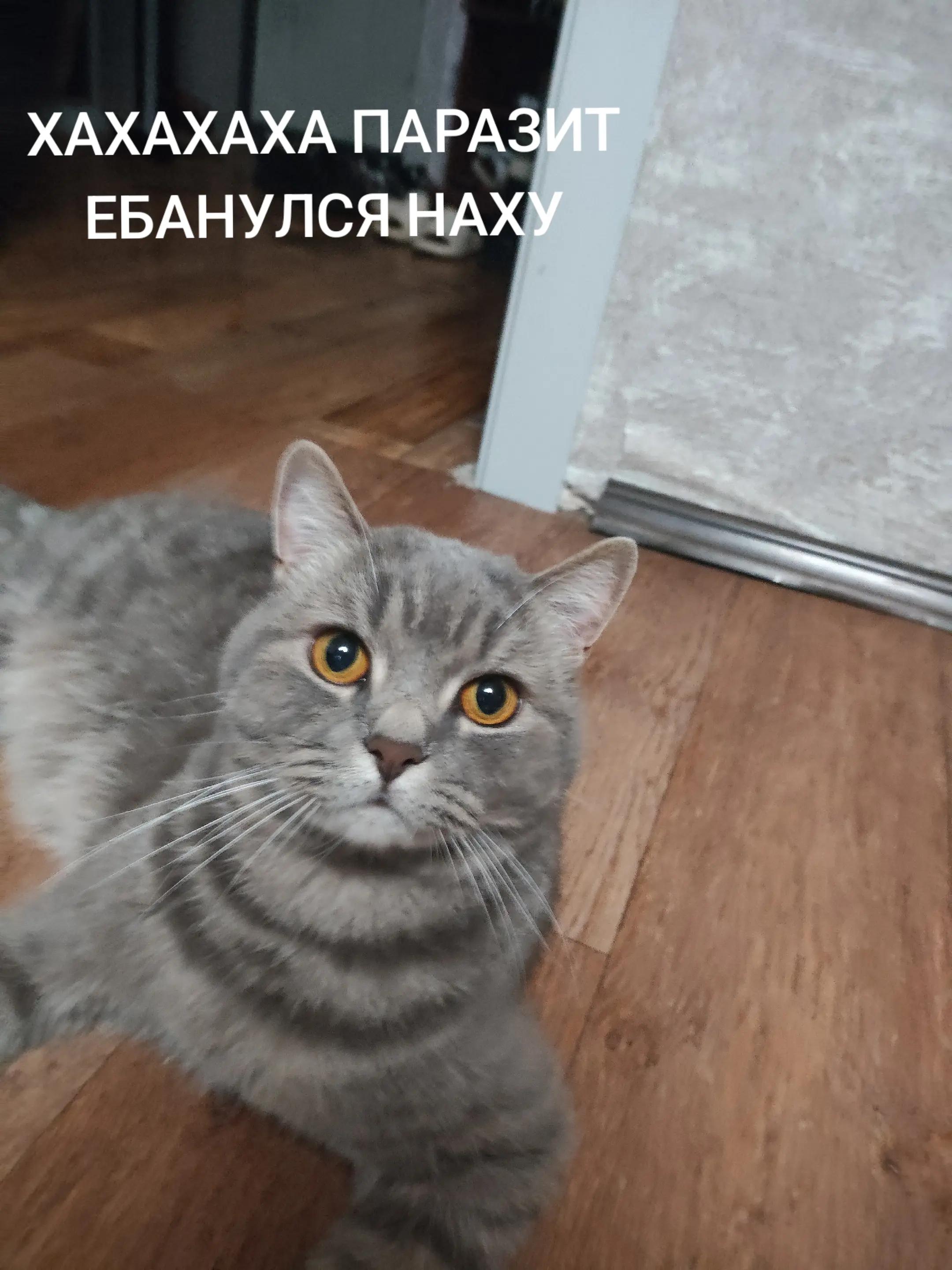 @Тоханский Сематерьев