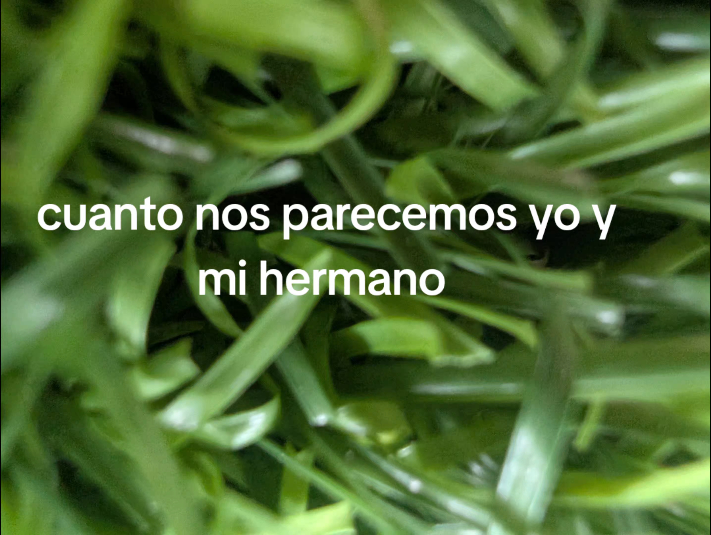 @Shey Shey
