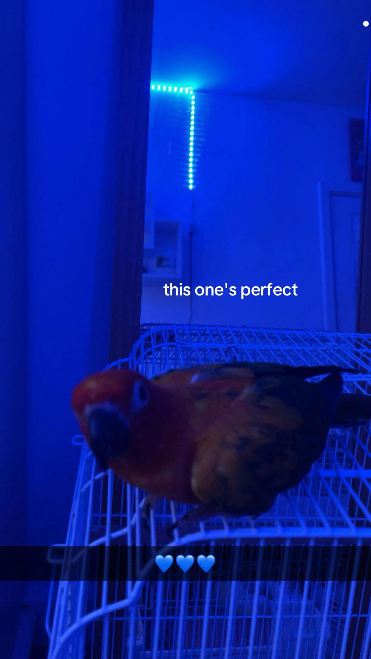 @๐
