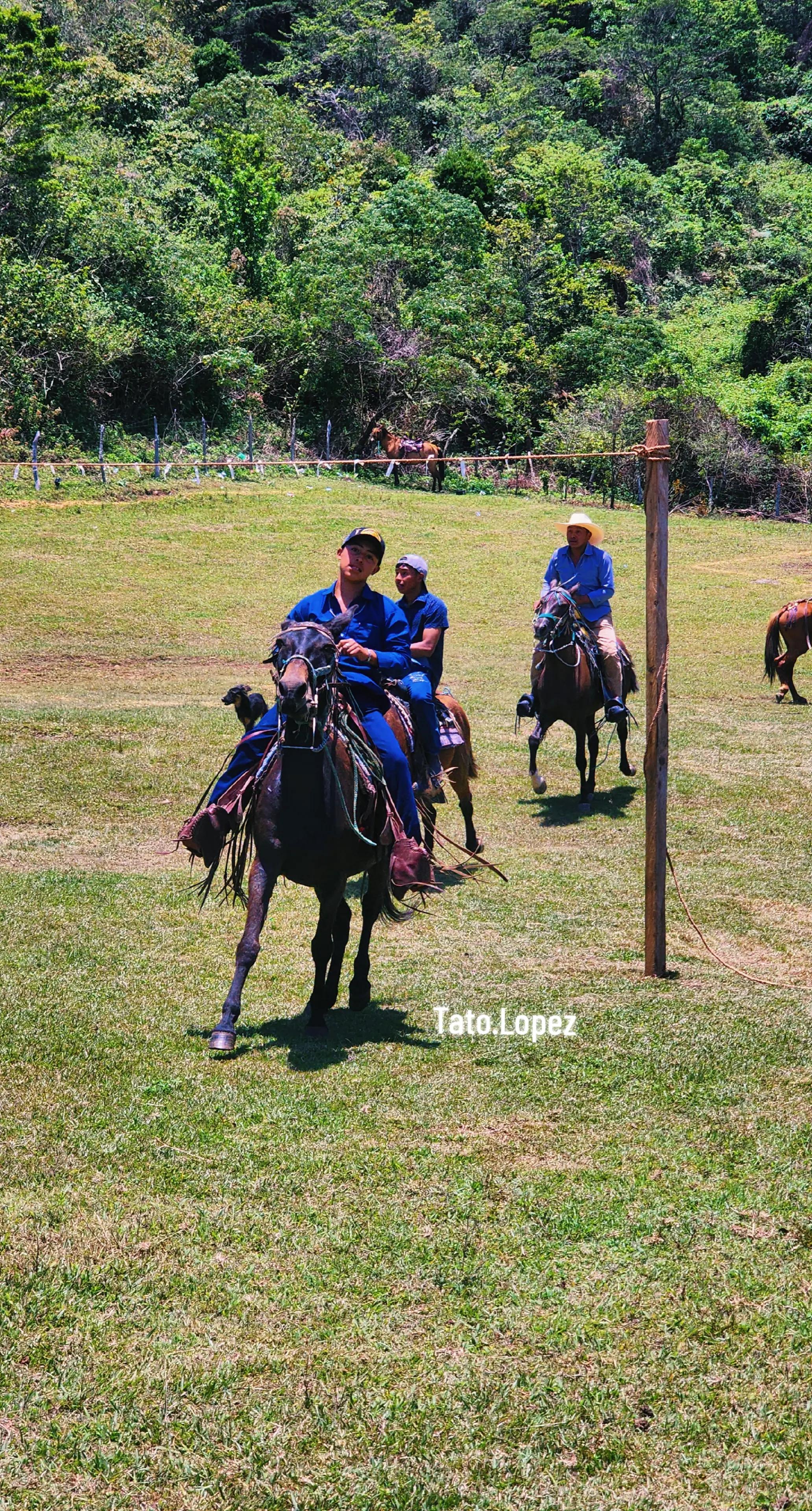 @Tato L&oacute;pez