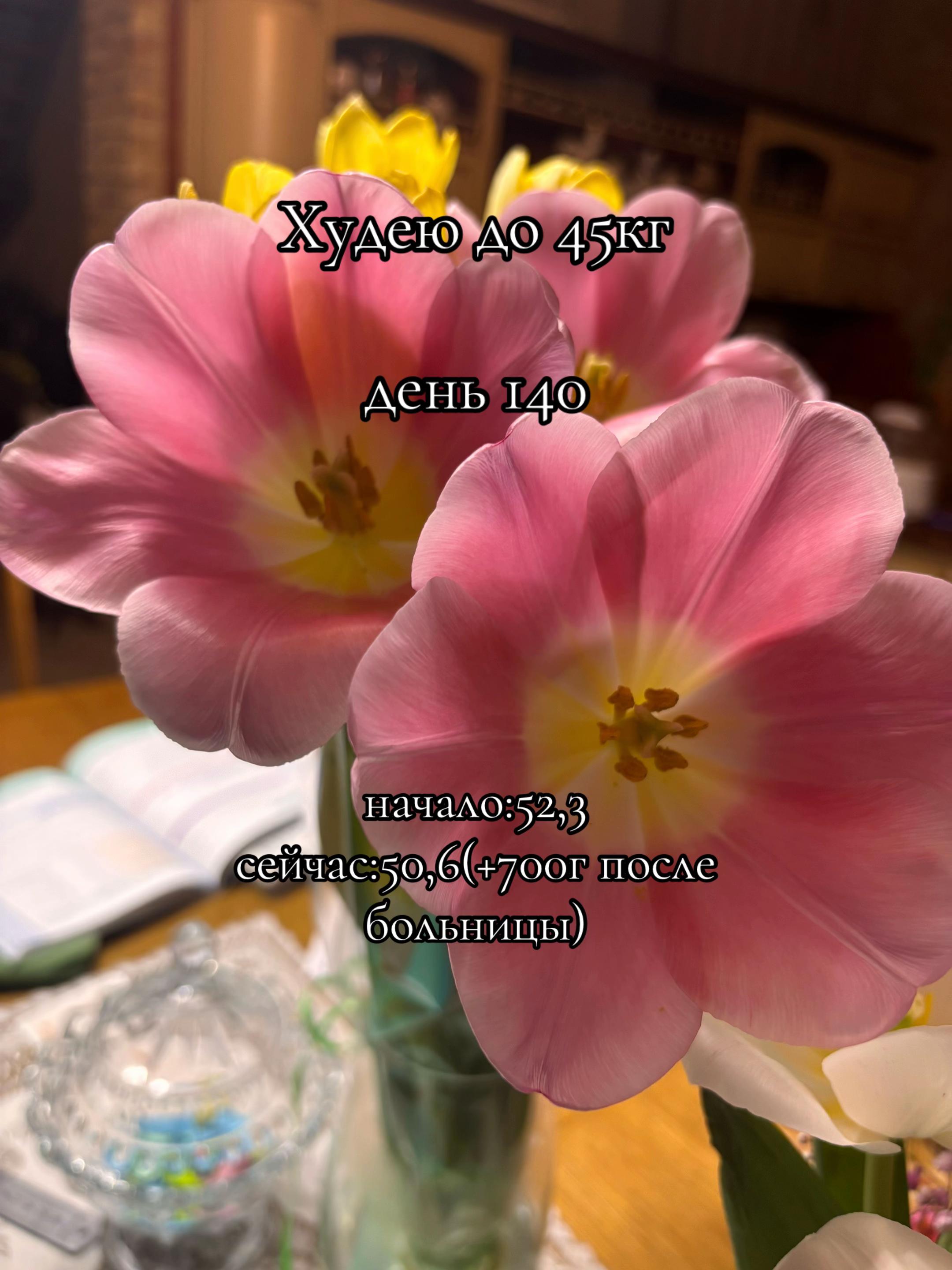 @вечно худеющая🌷
