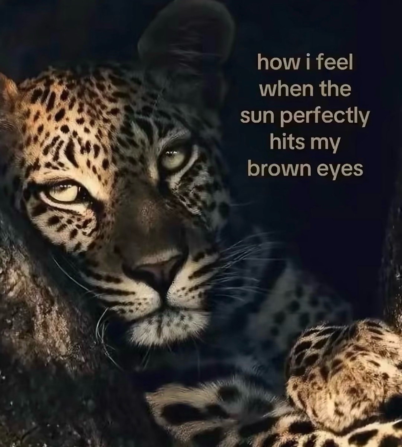 @Tatyanna_Hkitty
