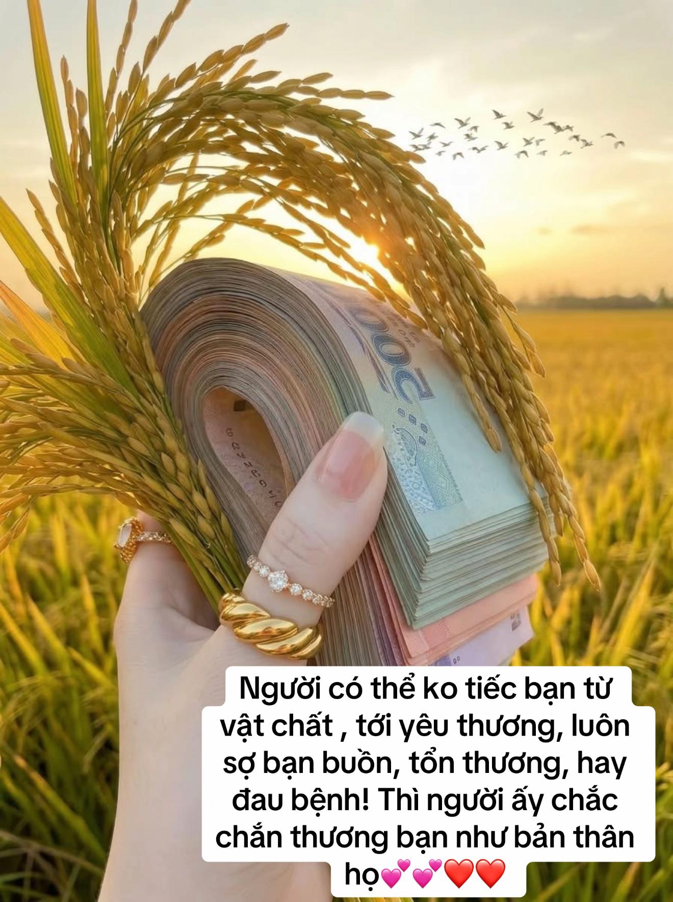 @💕 🍀Vạn điều _ B&igrave;nh An 💕🍀