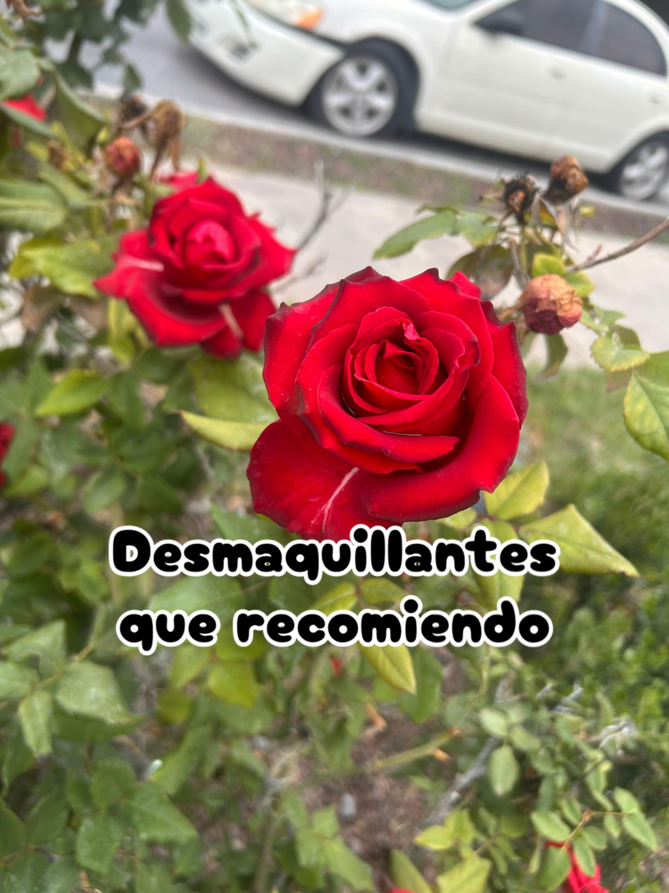 @Hola