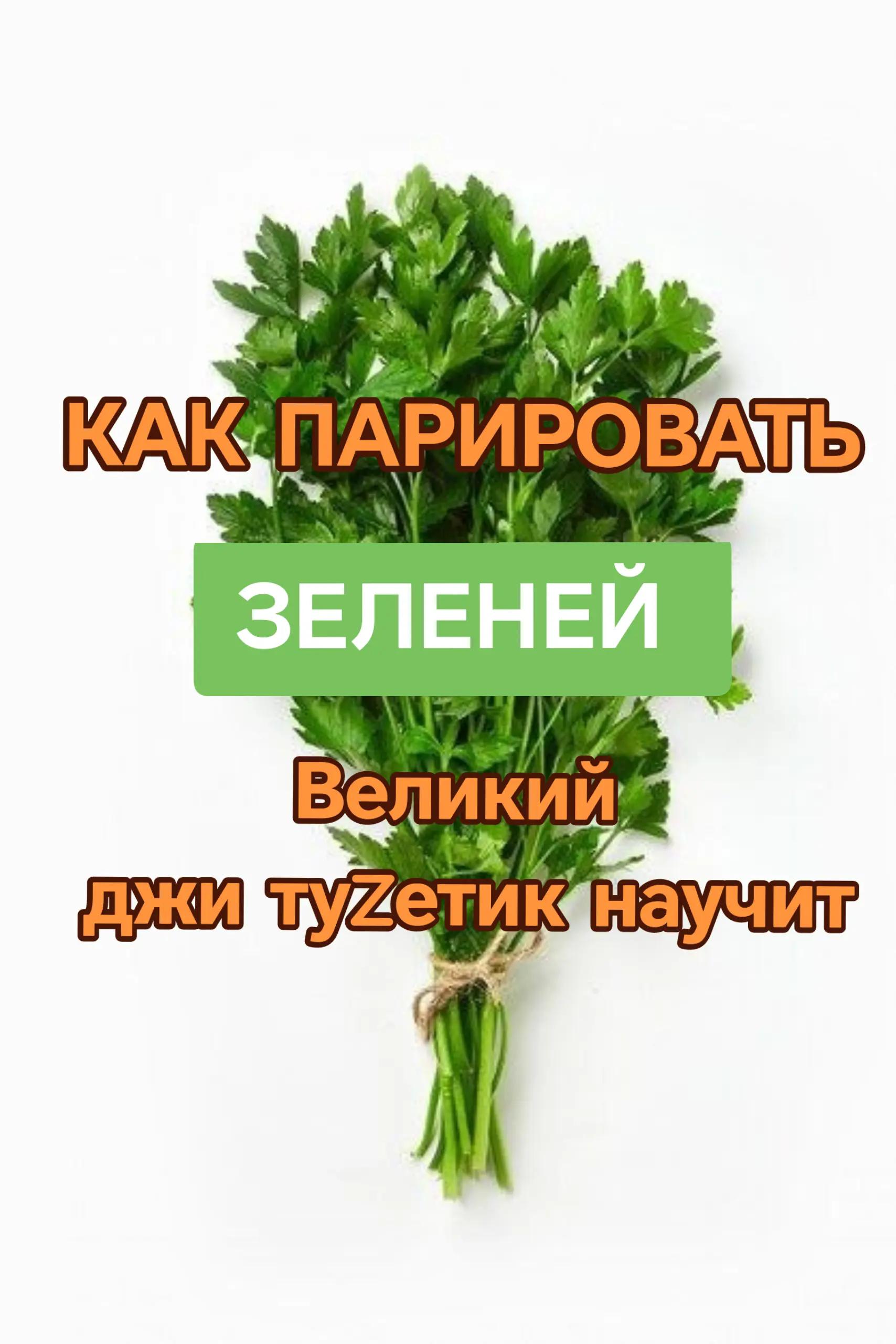 @Джи туZетик