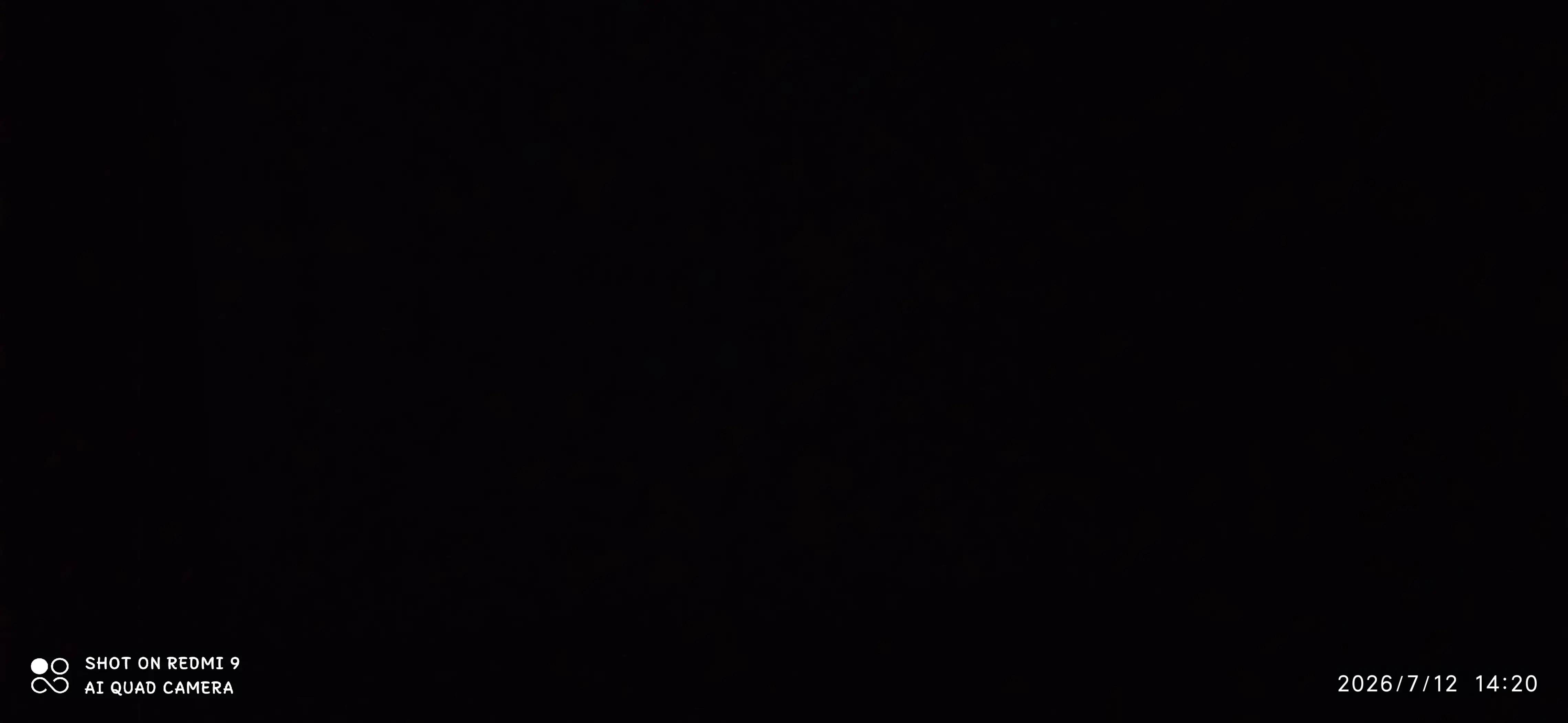 @juliehtcampso03