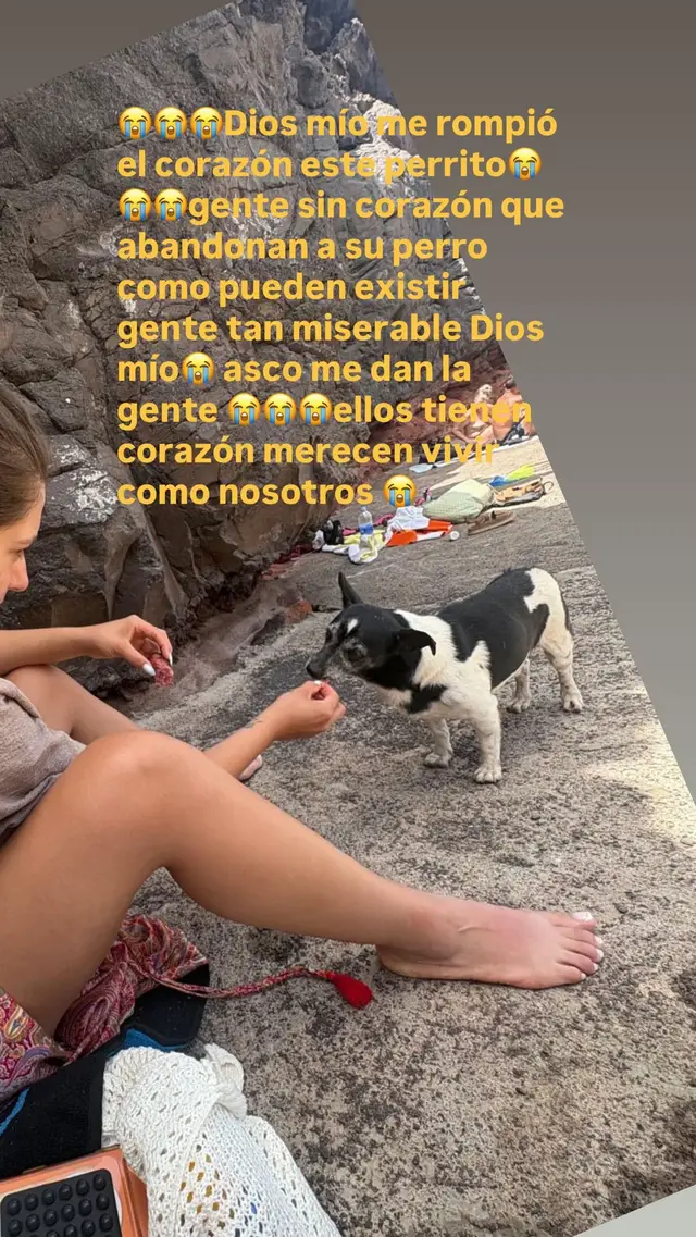 @eri_daii