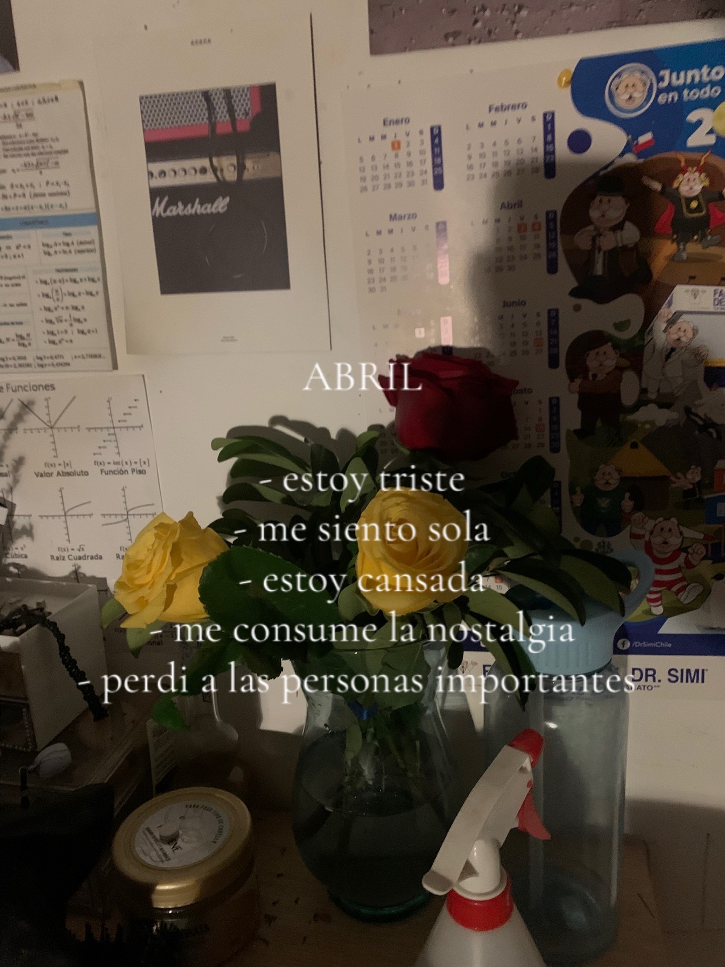 @Matilde 🧸