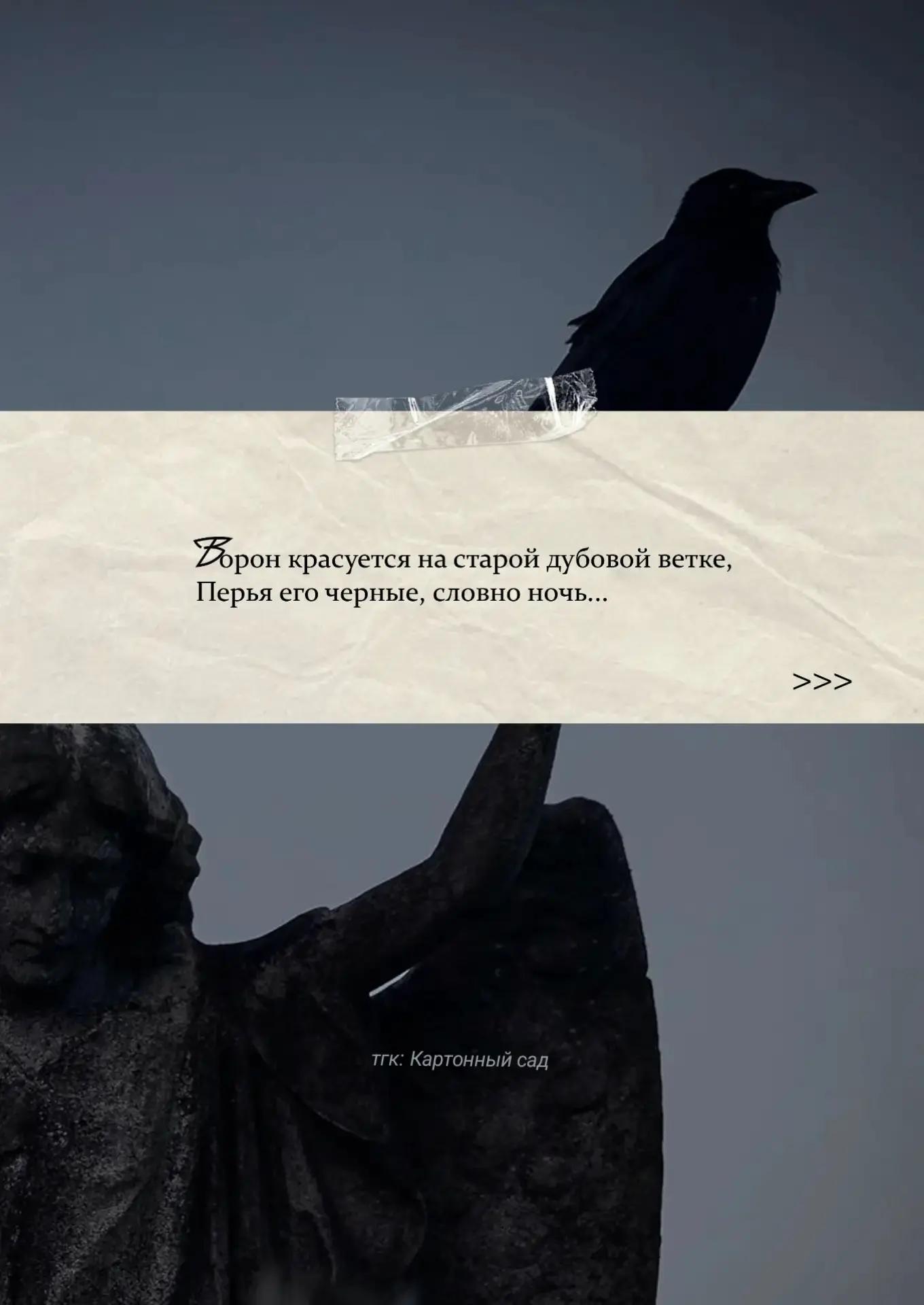 @Полина Матвеева