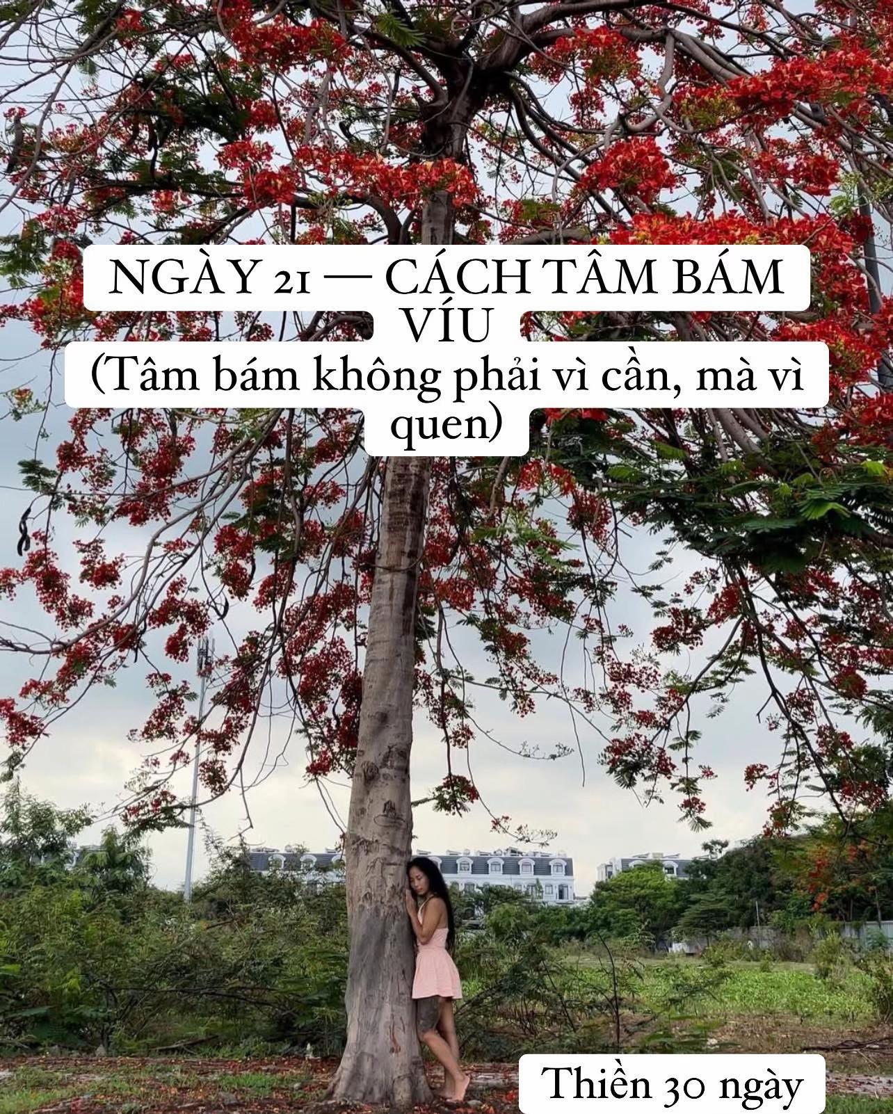 @buihoangbichtho