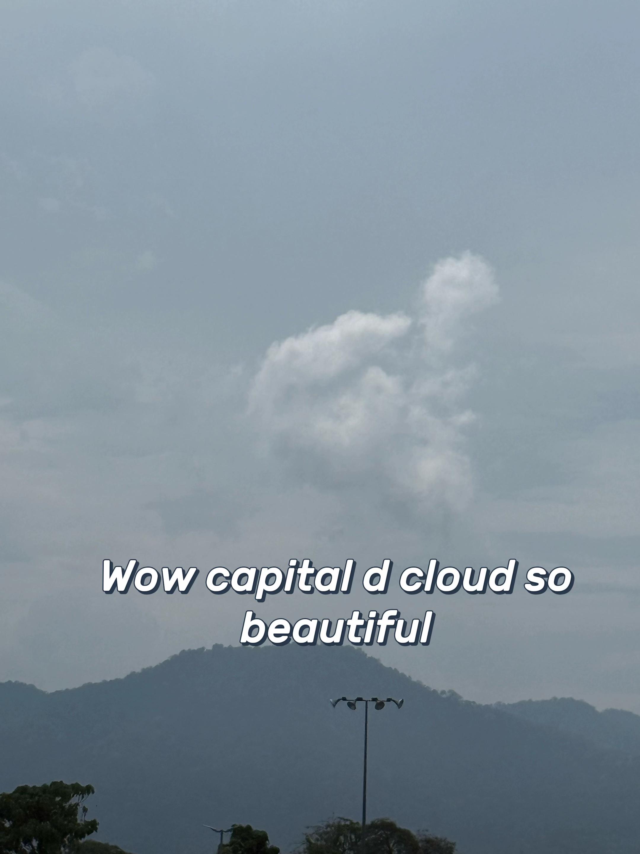 @TT angel cakes