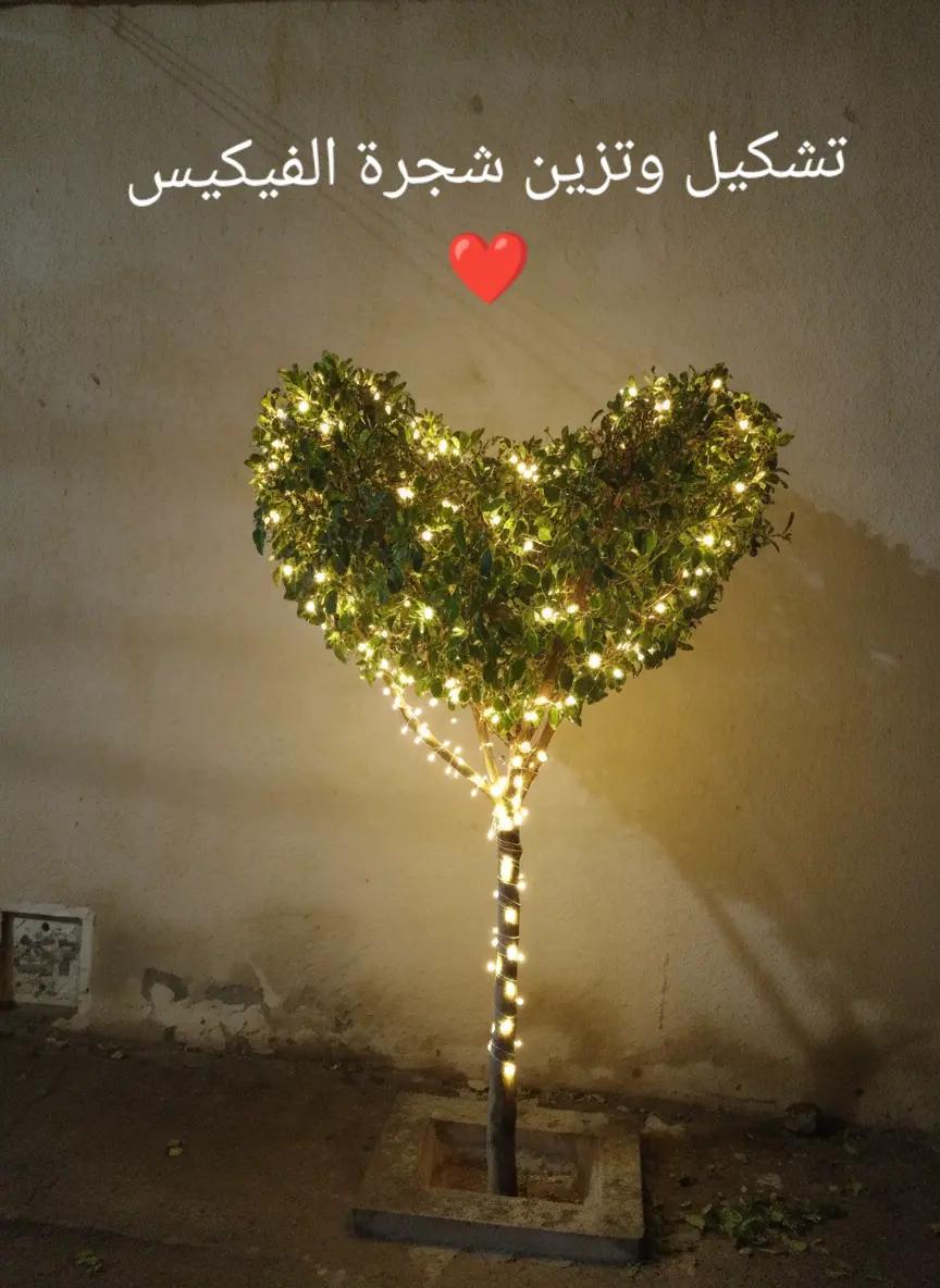 @Pépinière ORIF Laghouat