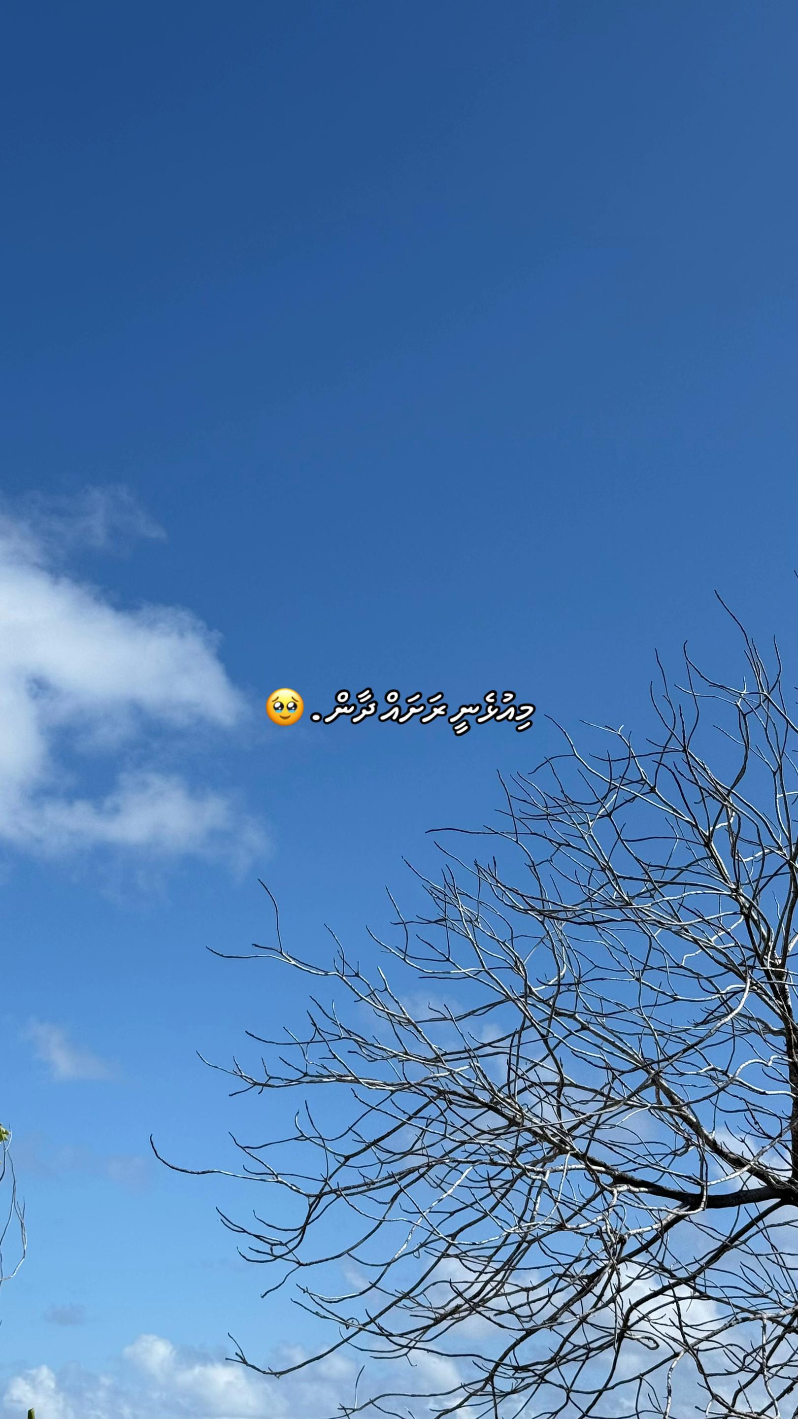 @𝔼𝕣𝕣𝕠𝕣𝟜𝟘𝟜