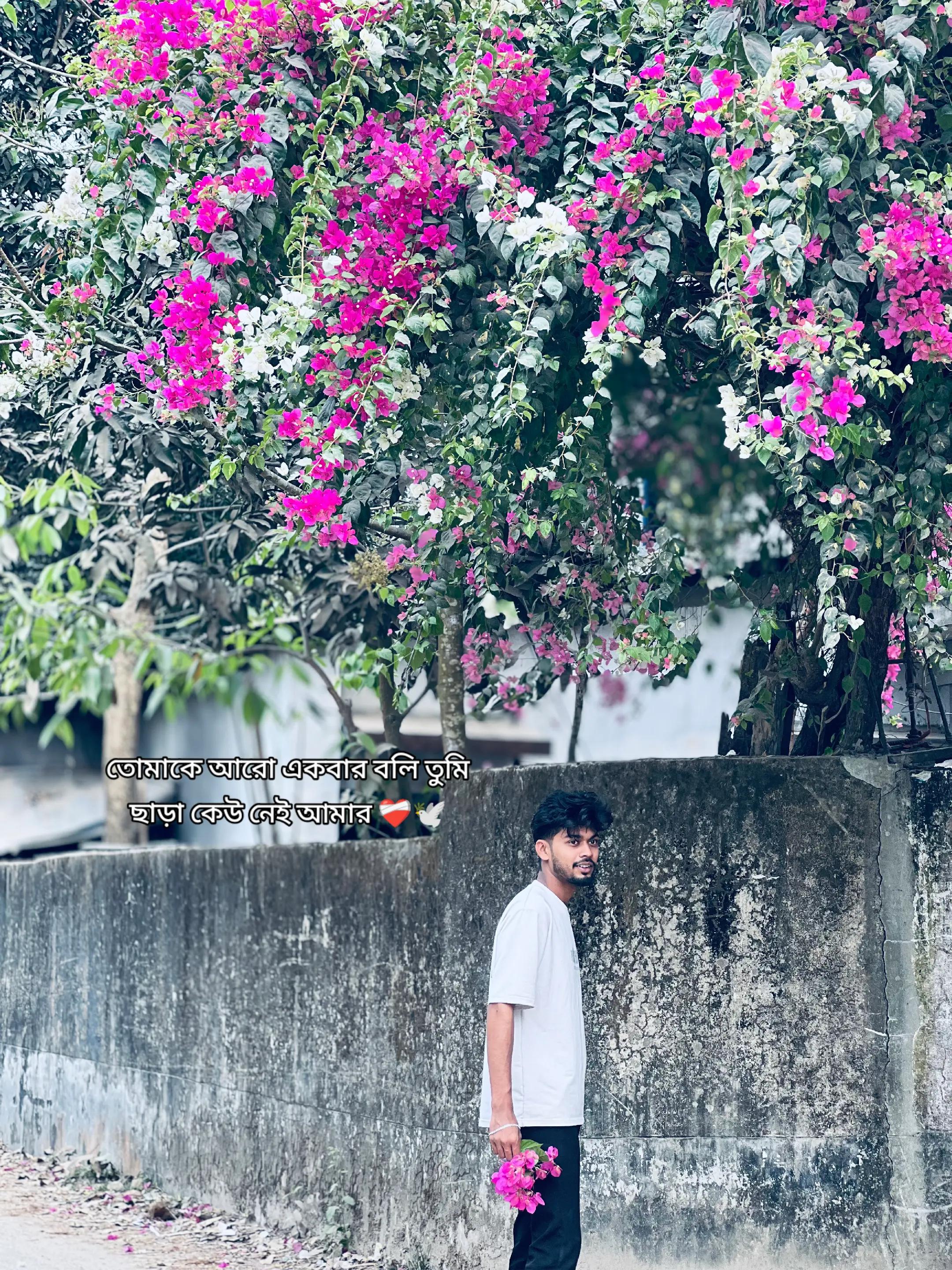 @Sheikh Nazmul⚰️