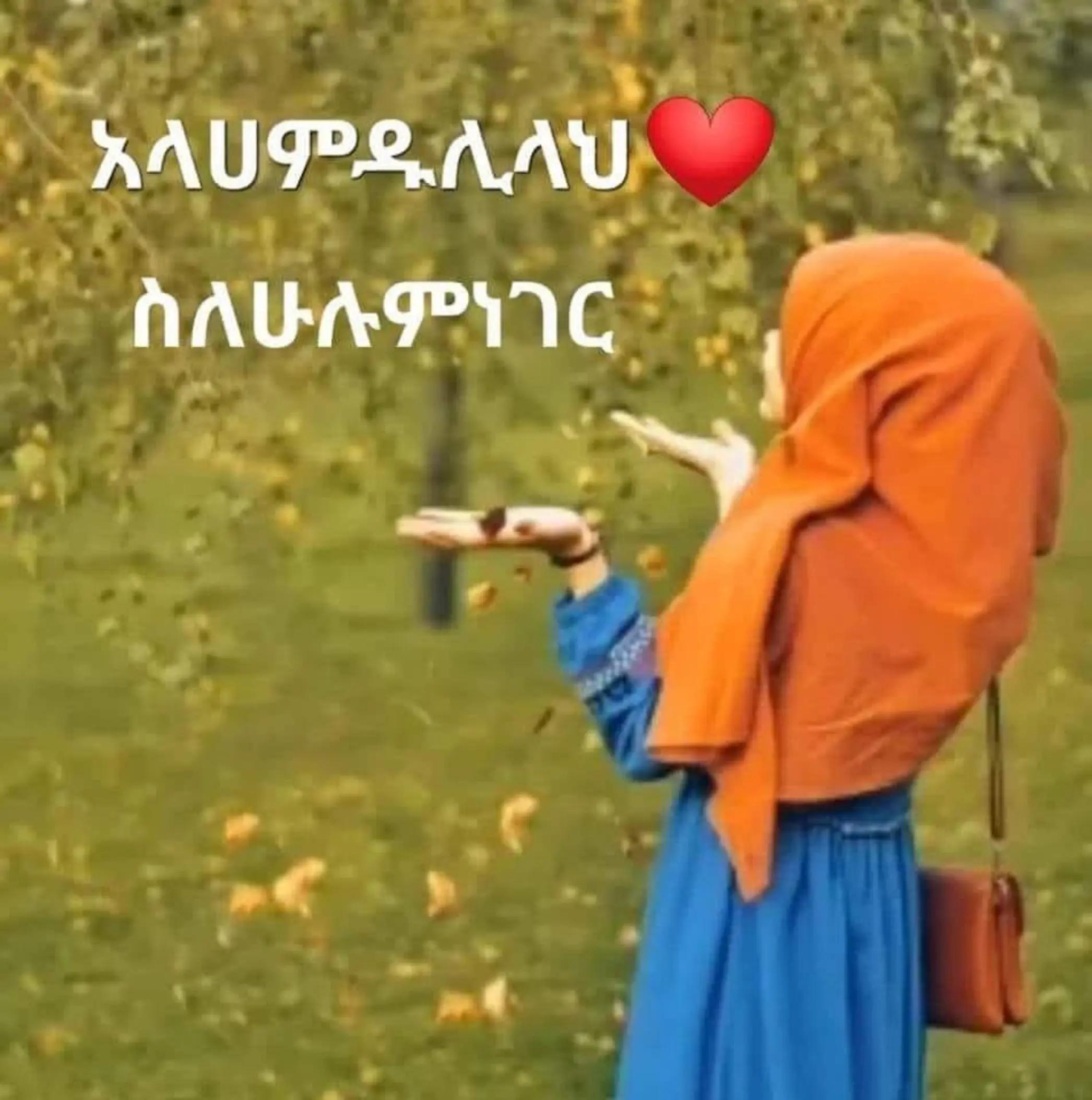 @ሶፍያ.ሰይዴ