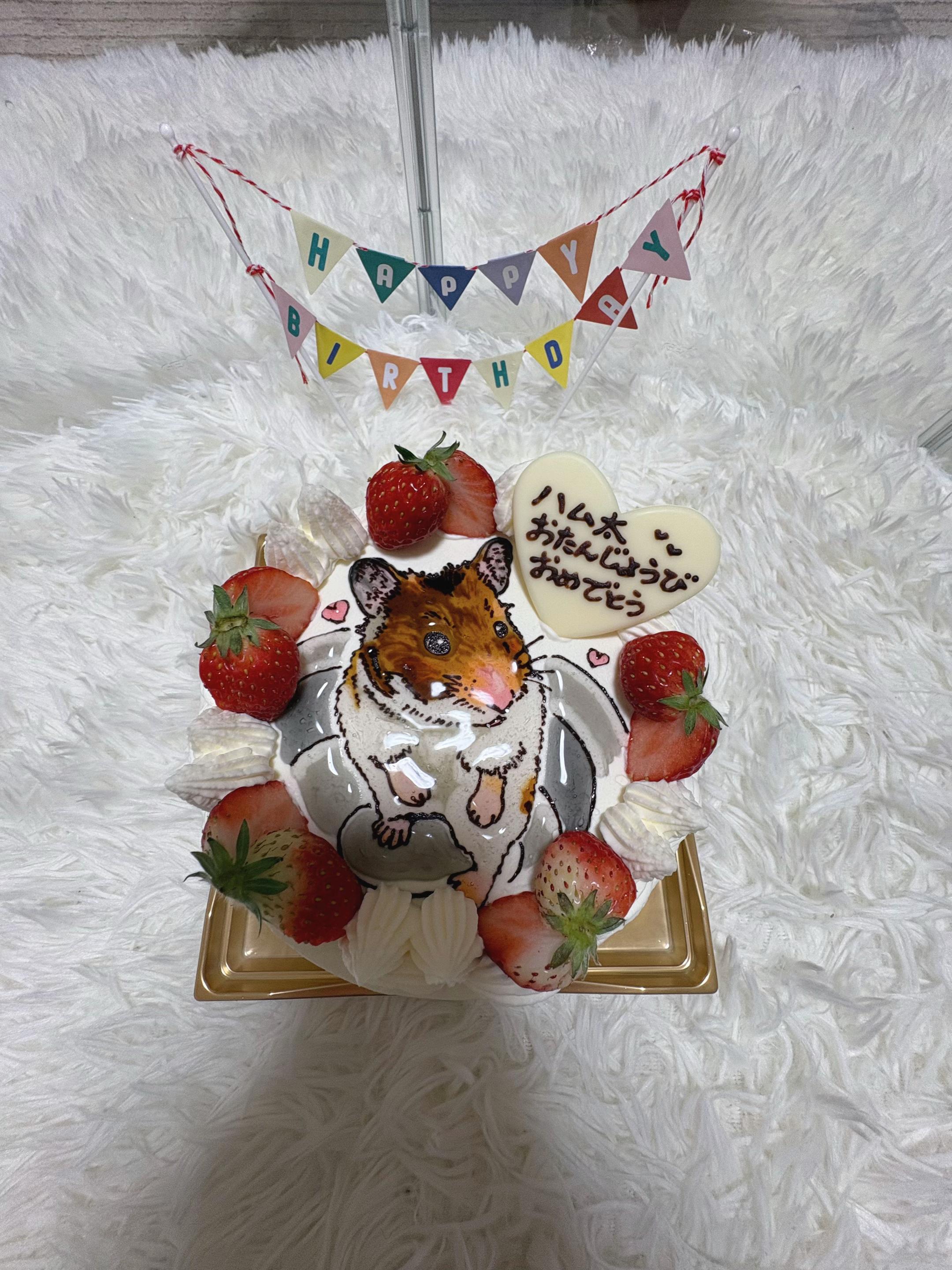 @ハム太は女の子🐹