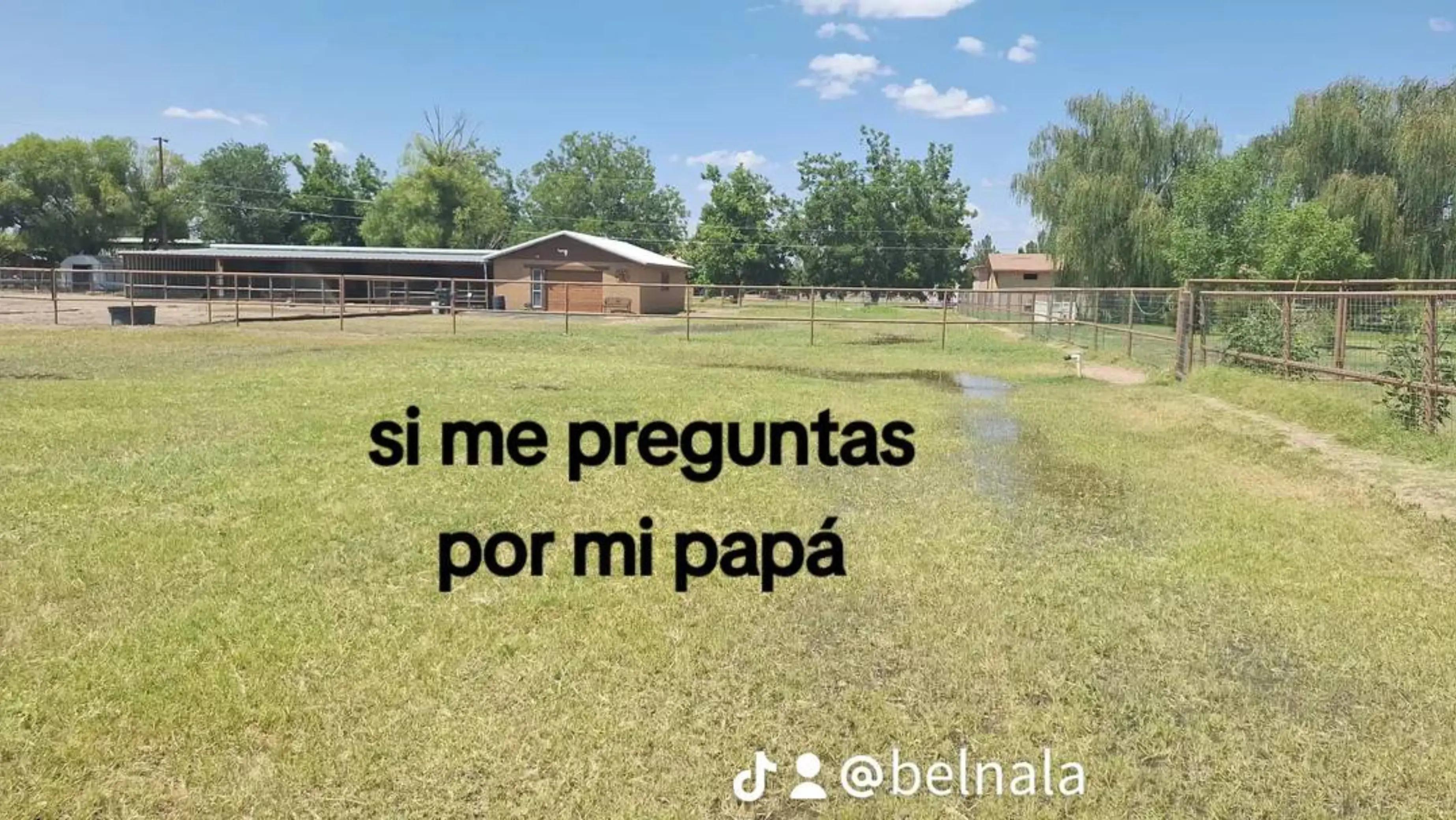 @kihara12