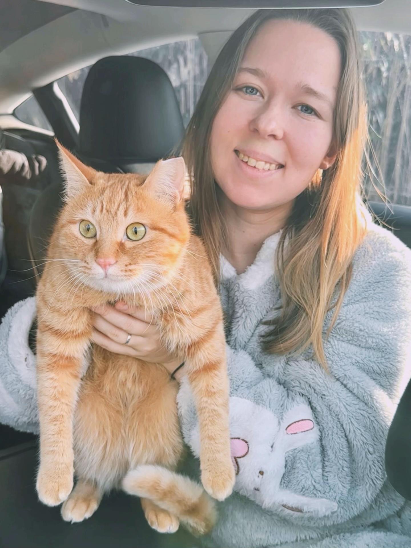 @MyStrayCheese
