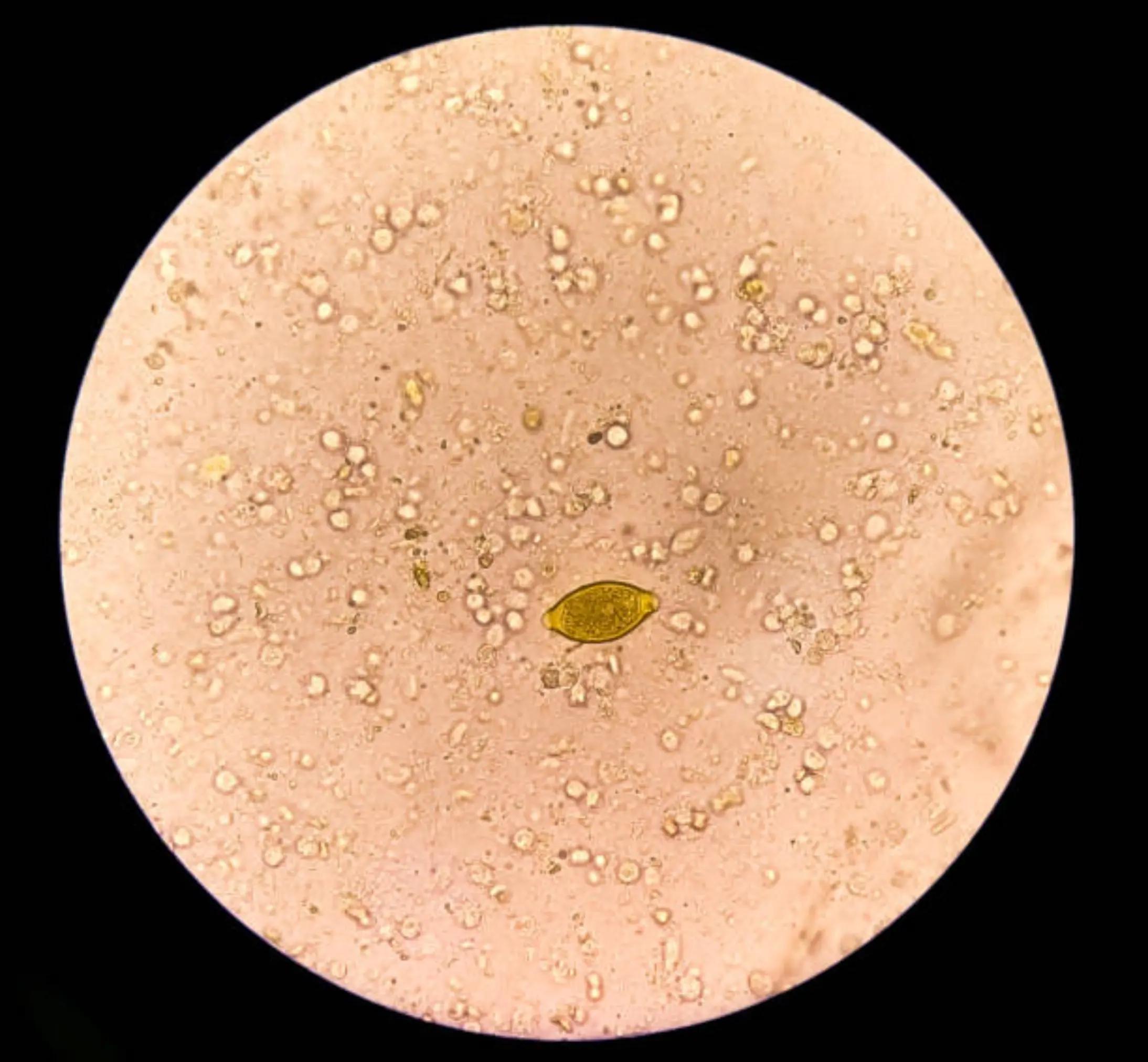 @Biologiste-Mompepe🔬💉😊