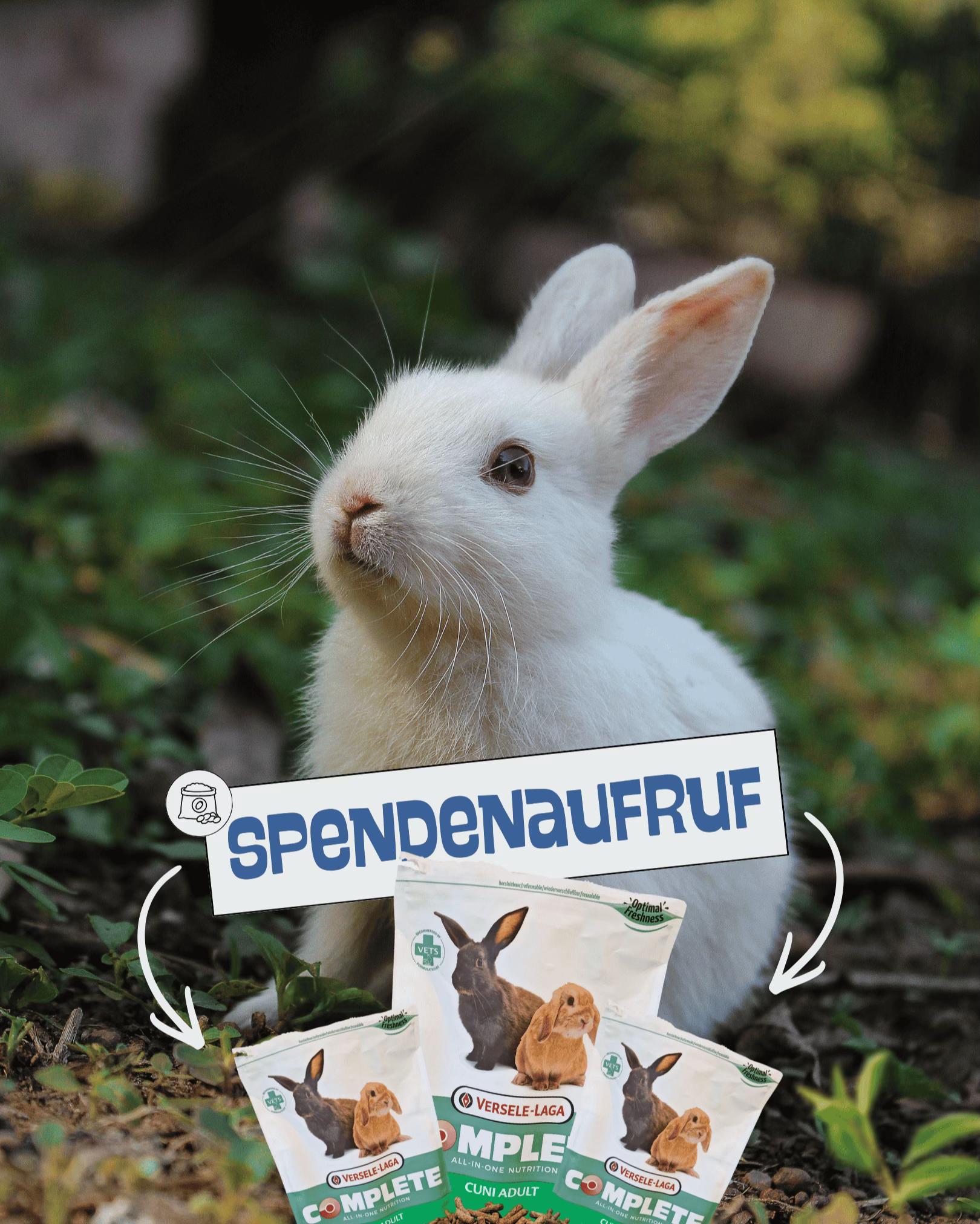 @Tierheim_Bremerhaven