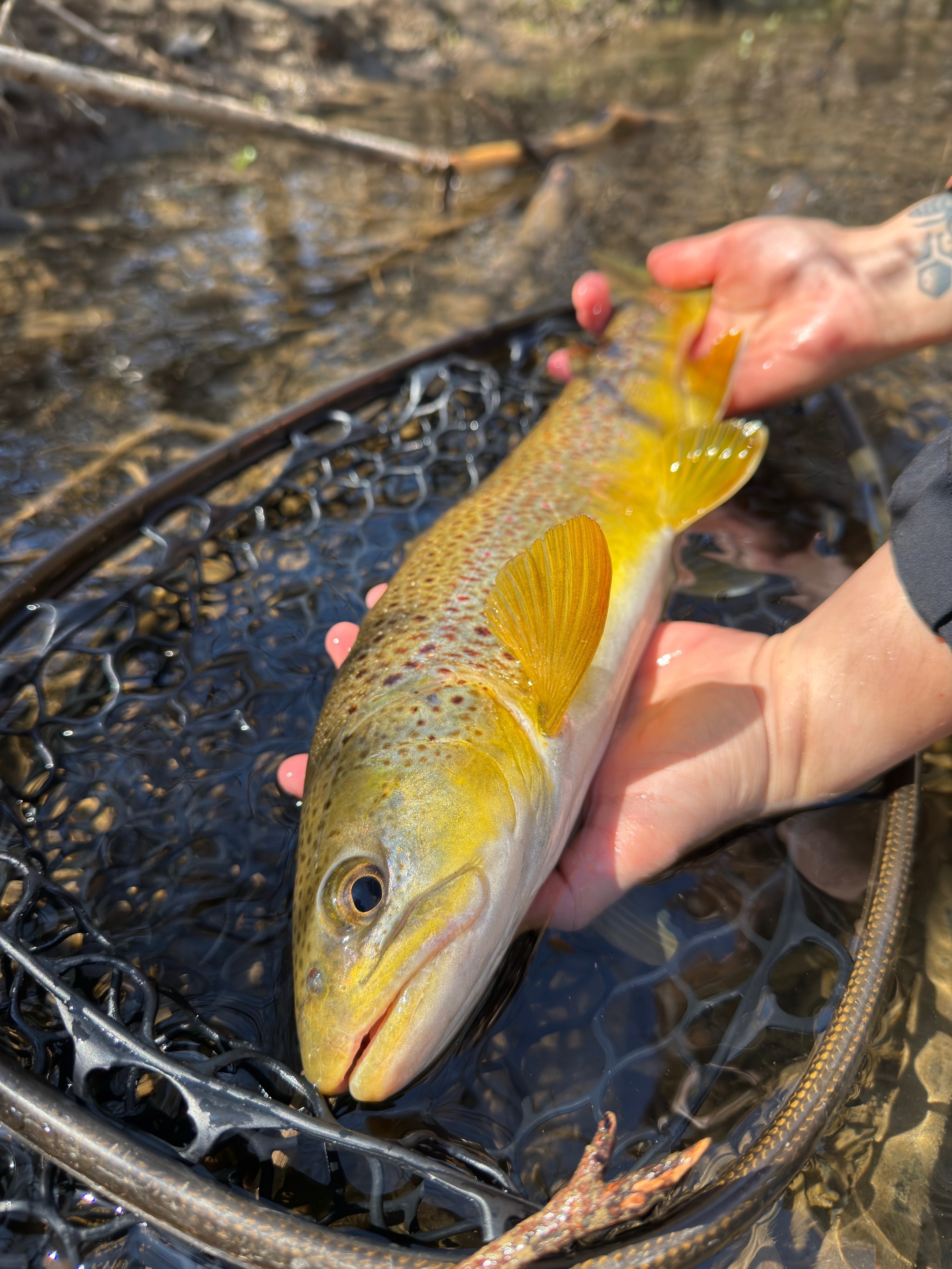 @Fishin_With_B