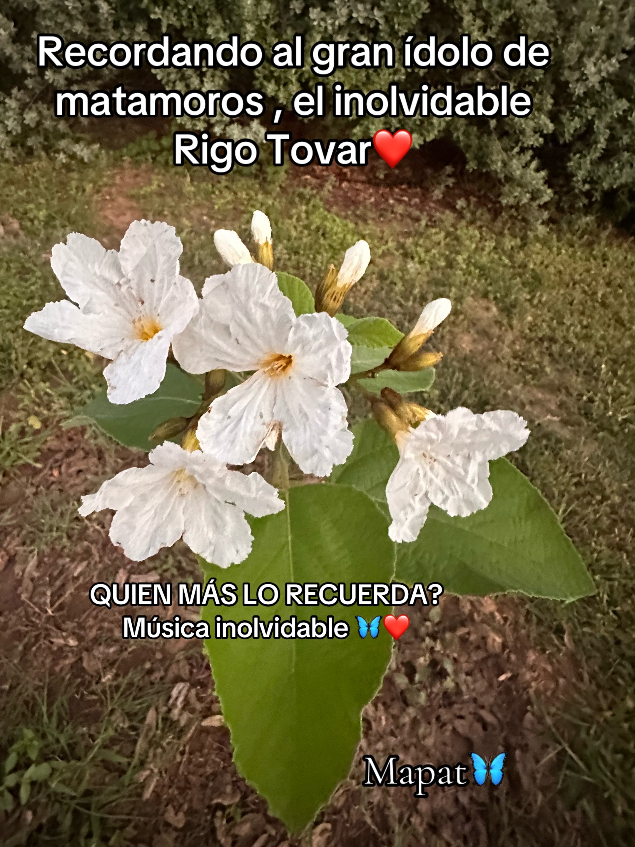 @Martha P. Betancourt Hernández