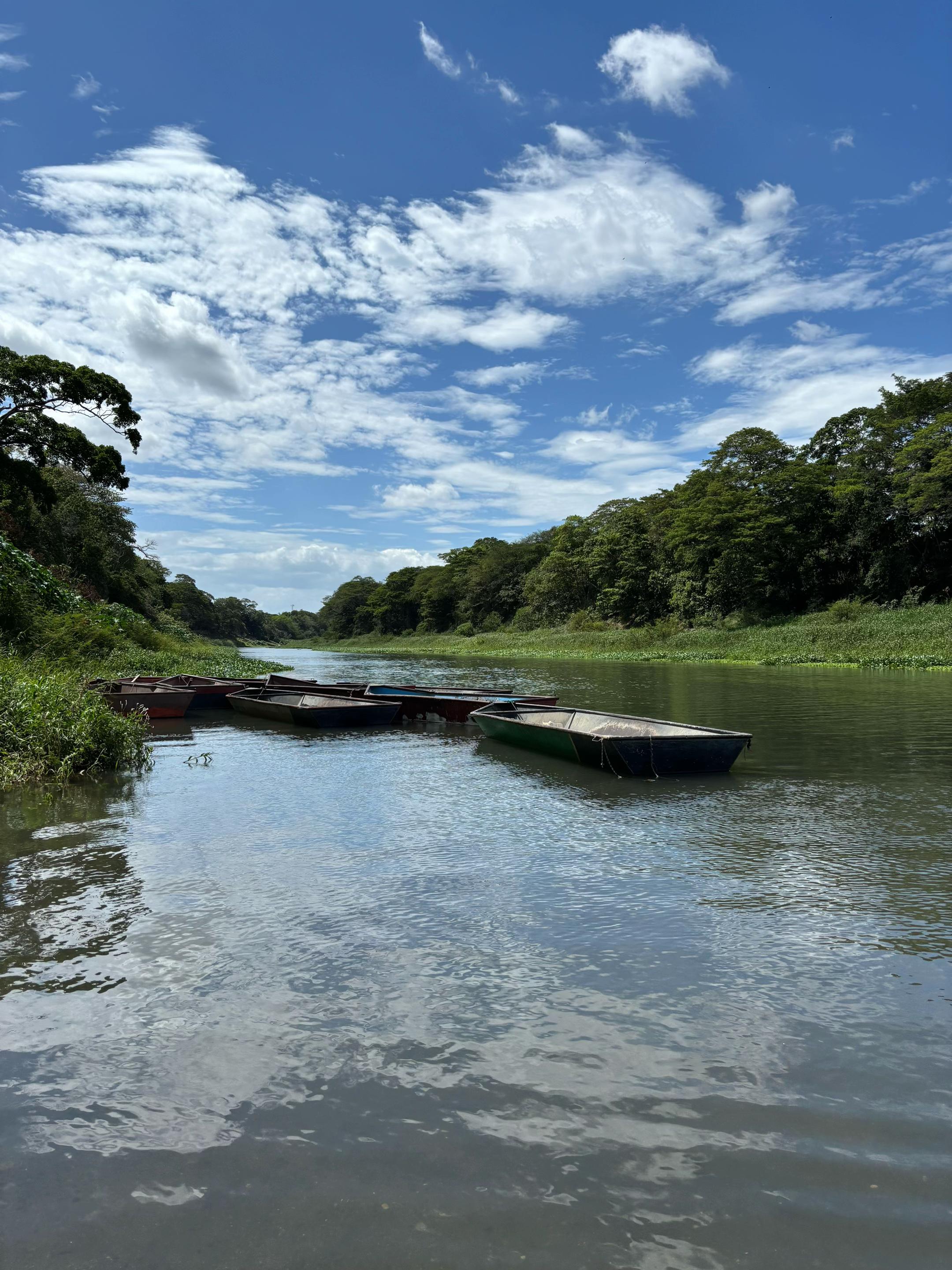 @DiegoJ-Naturaleza