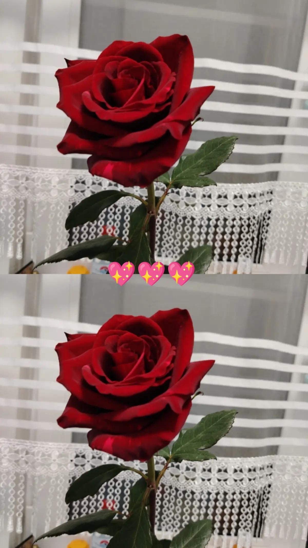@&hearts;️МАЛЕНЬКАЯ &hearts;️
