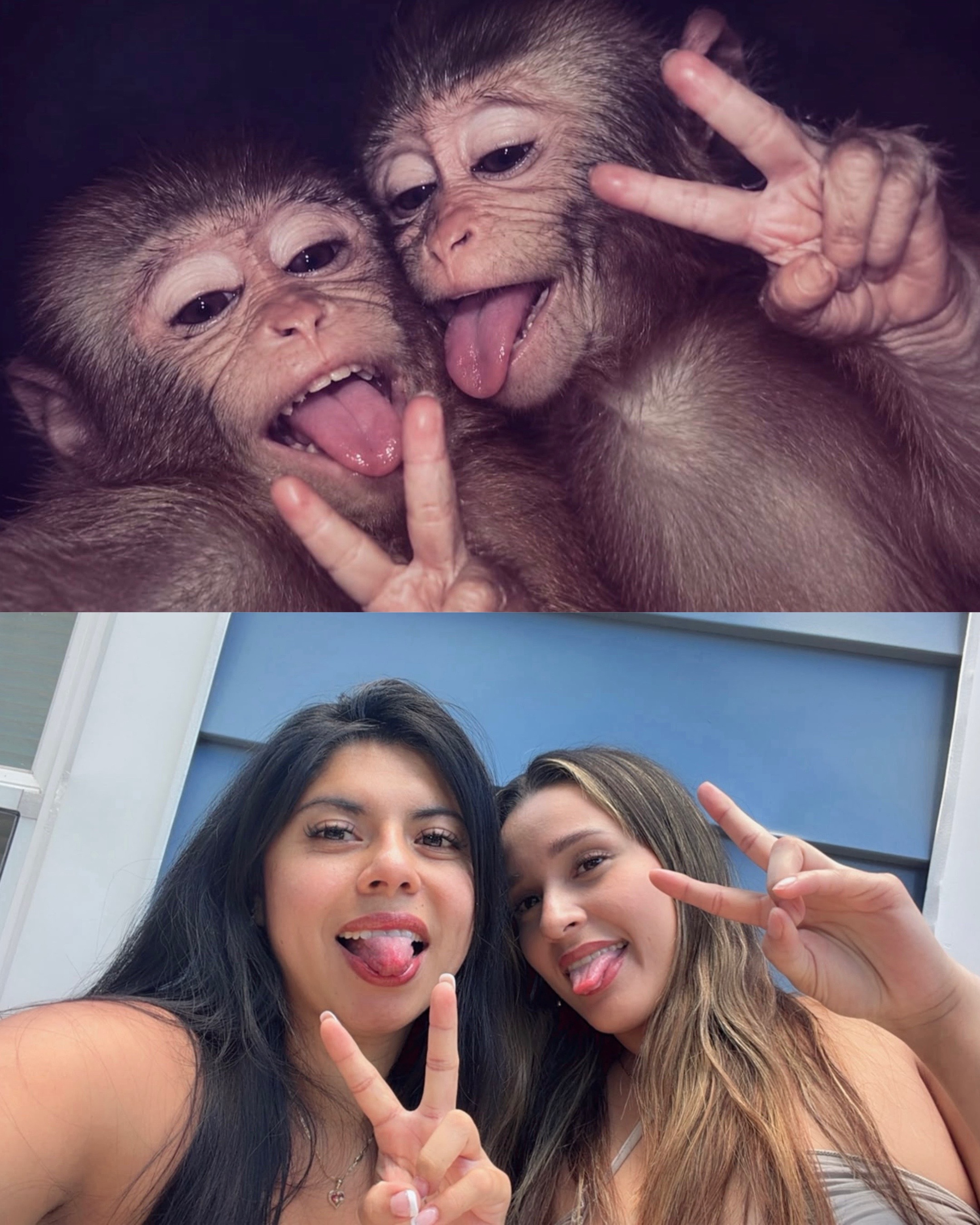 @Yamii ✨