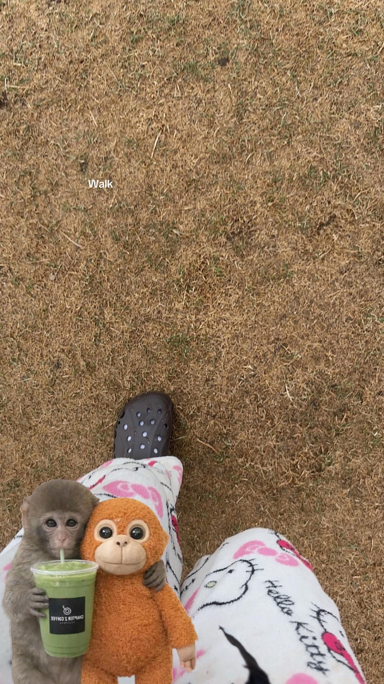 @esmaeee