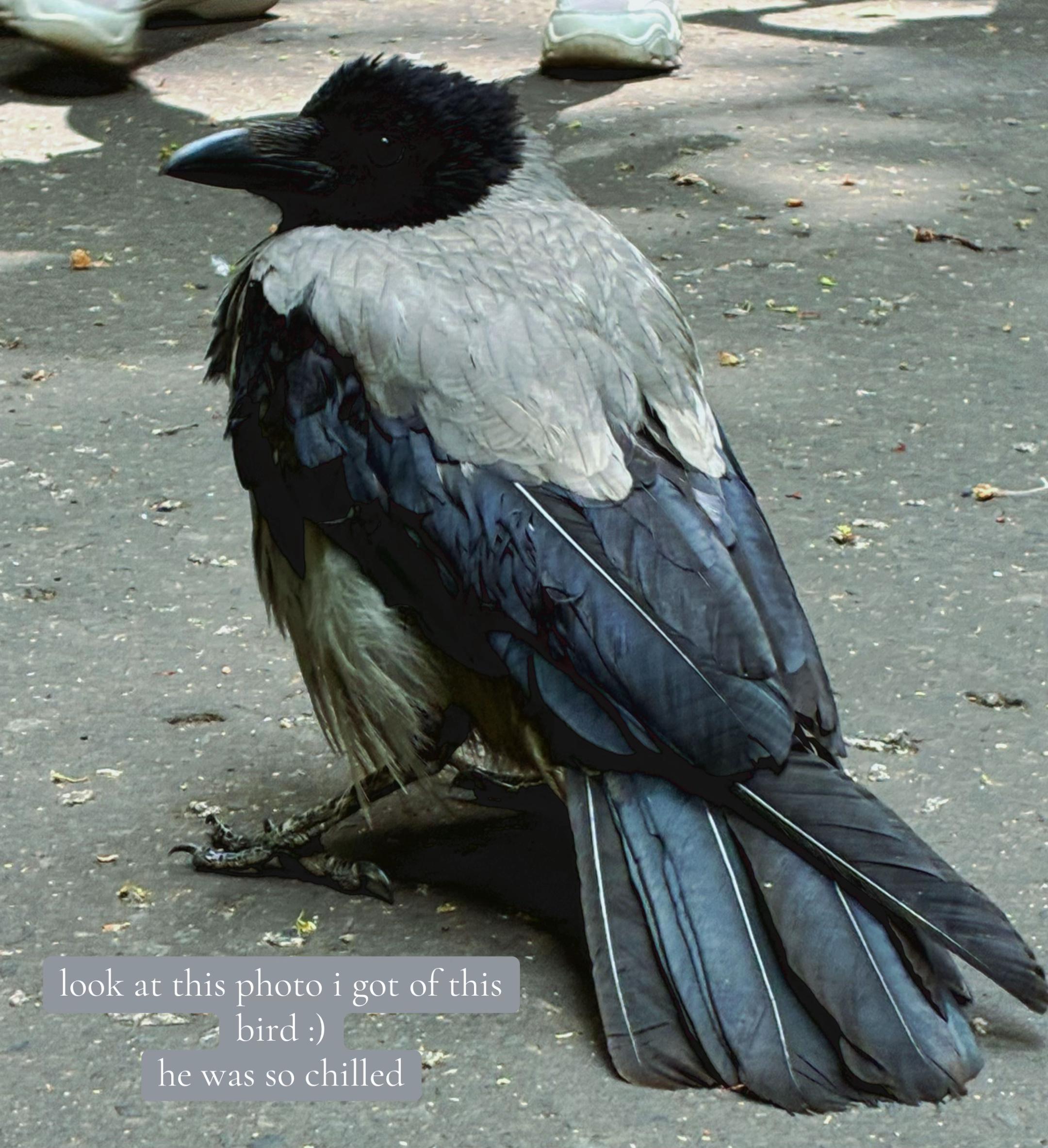 @𝒸𝓁𝒶𝓇𝑒! ݁⋆