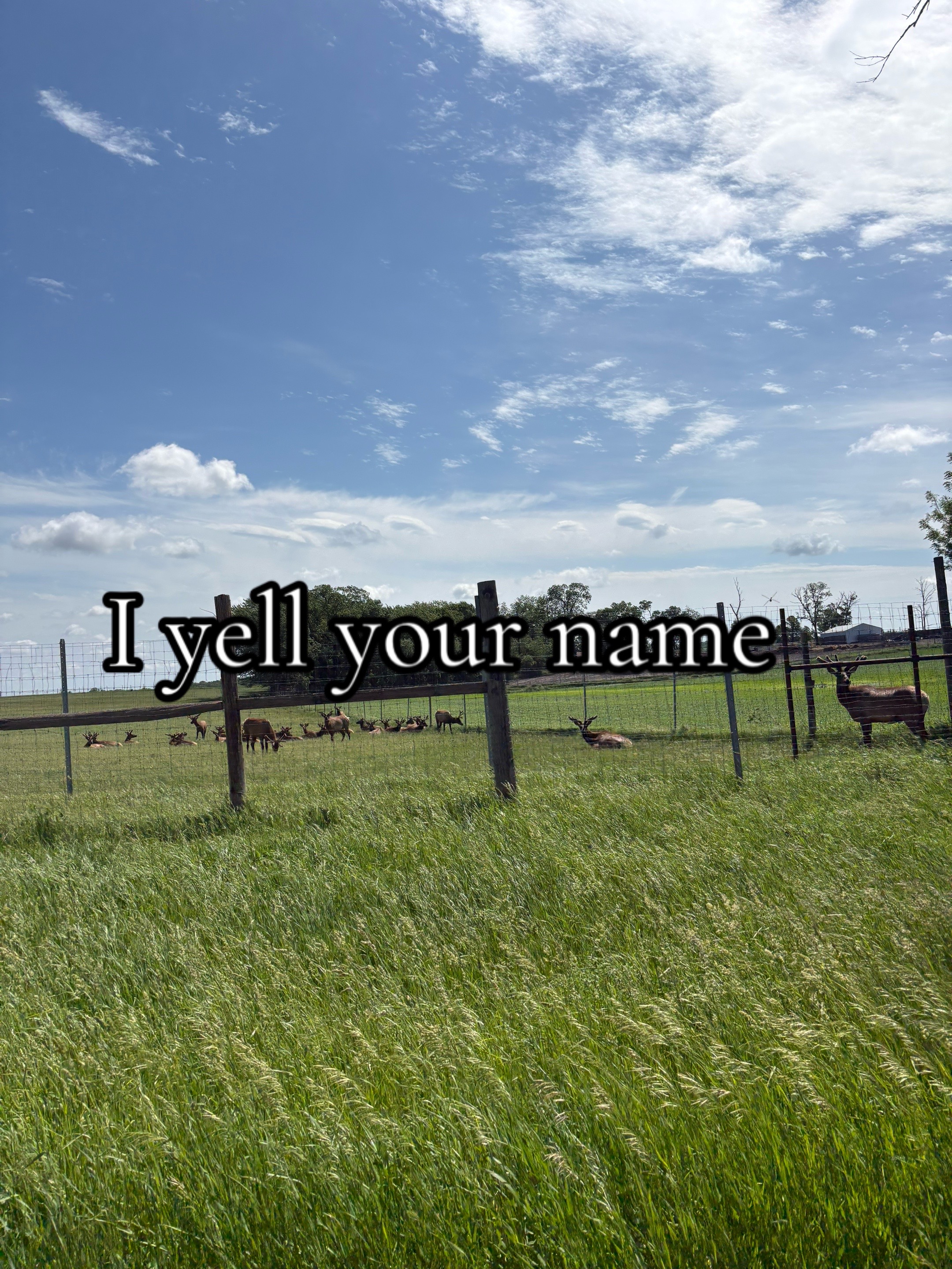 @𝓮𝓪.𝓯𝓲𝓼𝓱𝓲𝓷𝓰🪶
