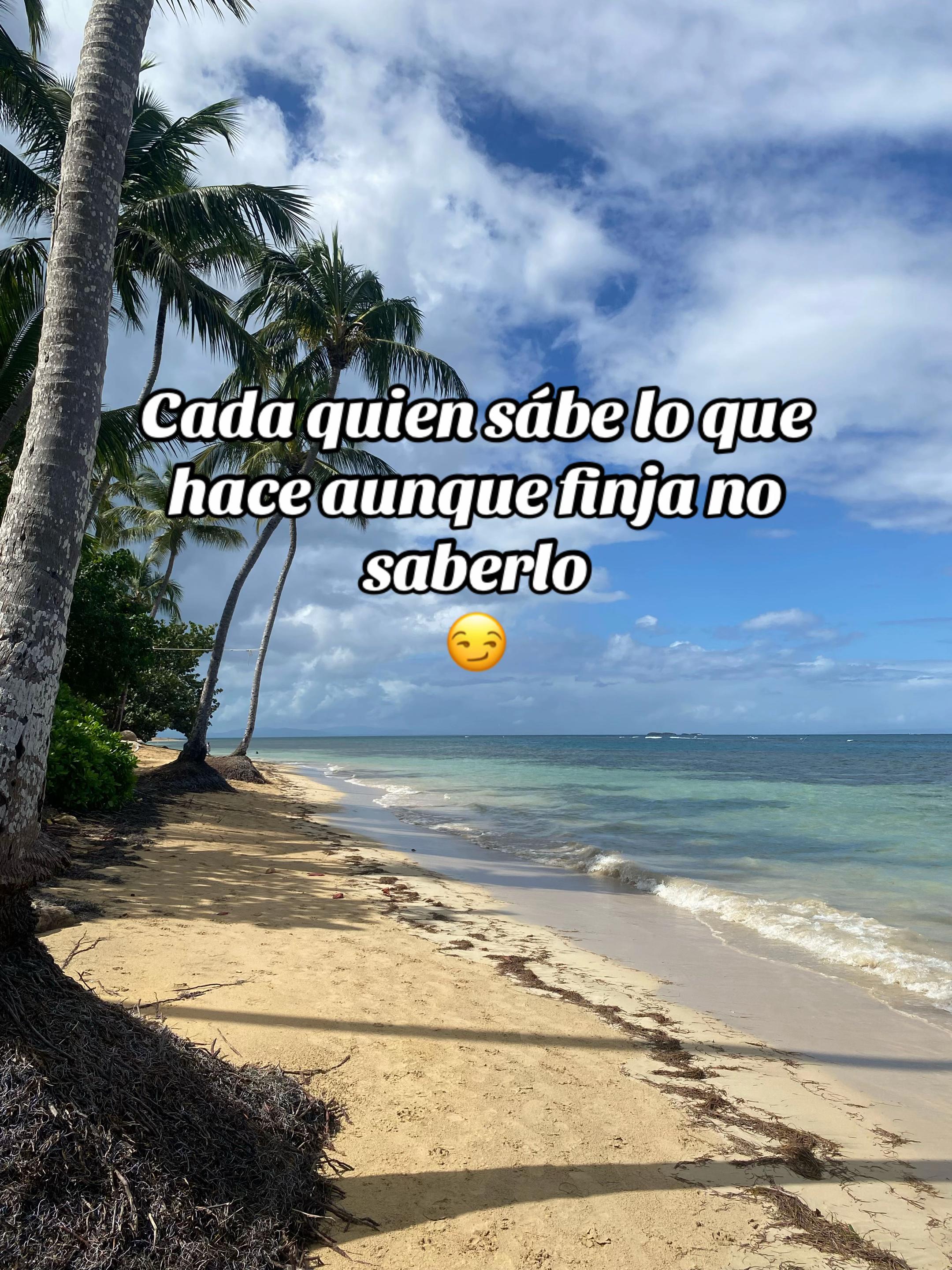 @soloseviveunavez9102