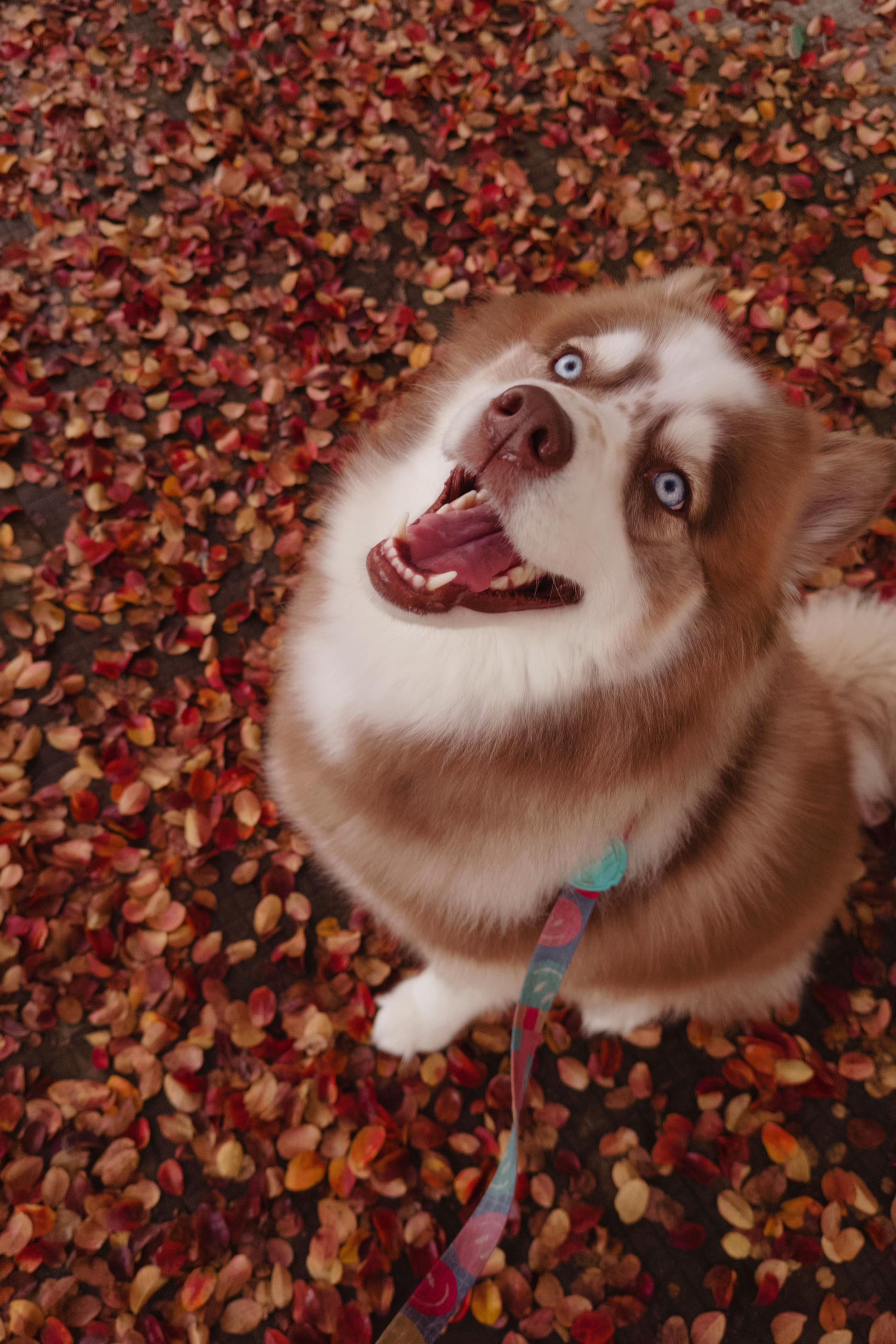 @Emilly Klock