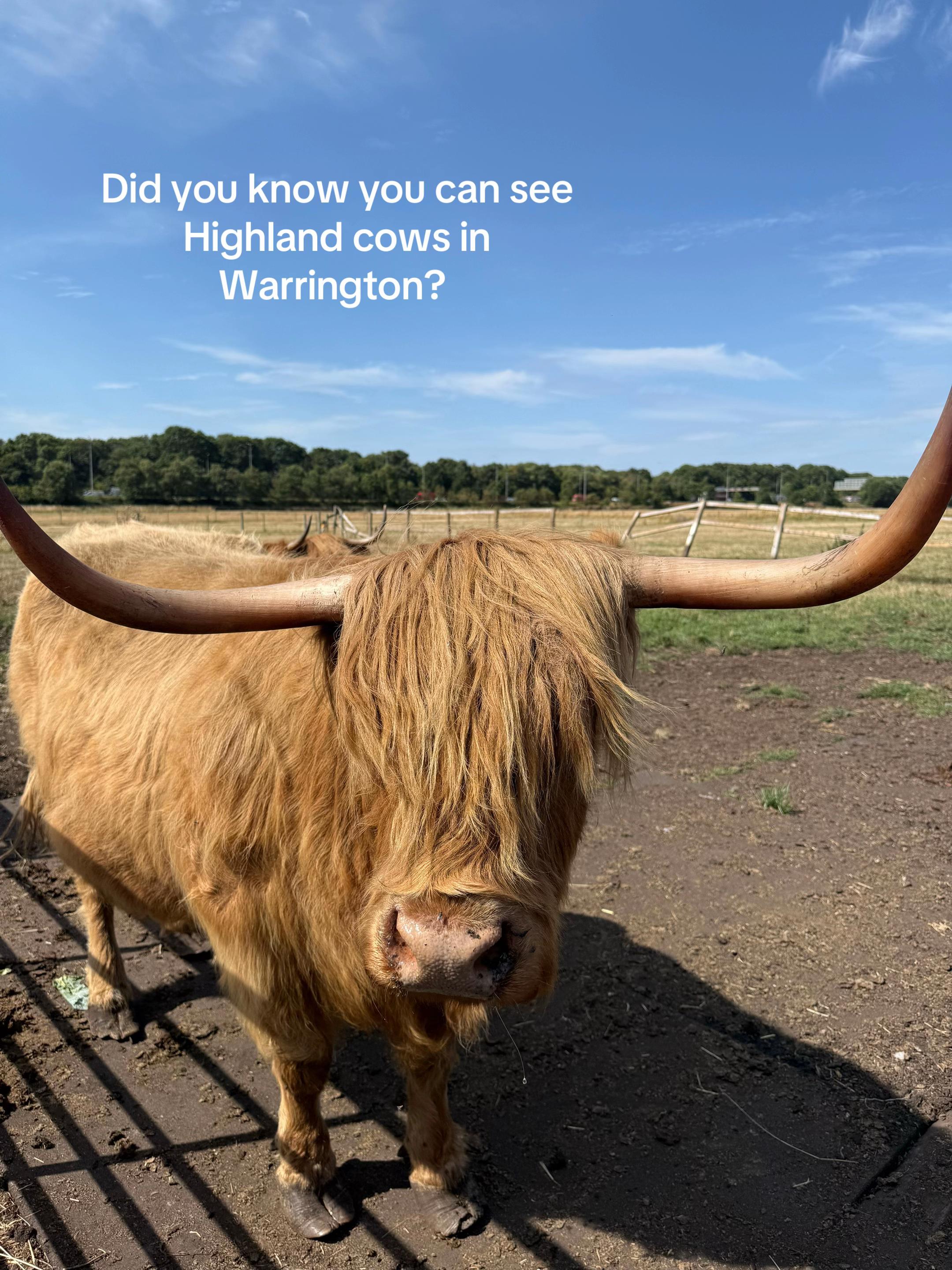@Warrington Guardian