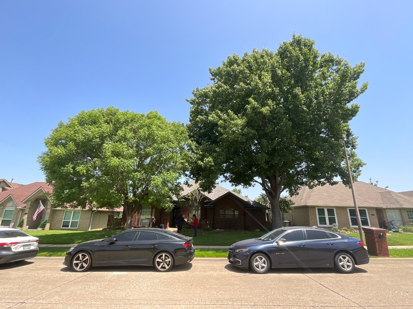 @Live Oak Tree Service