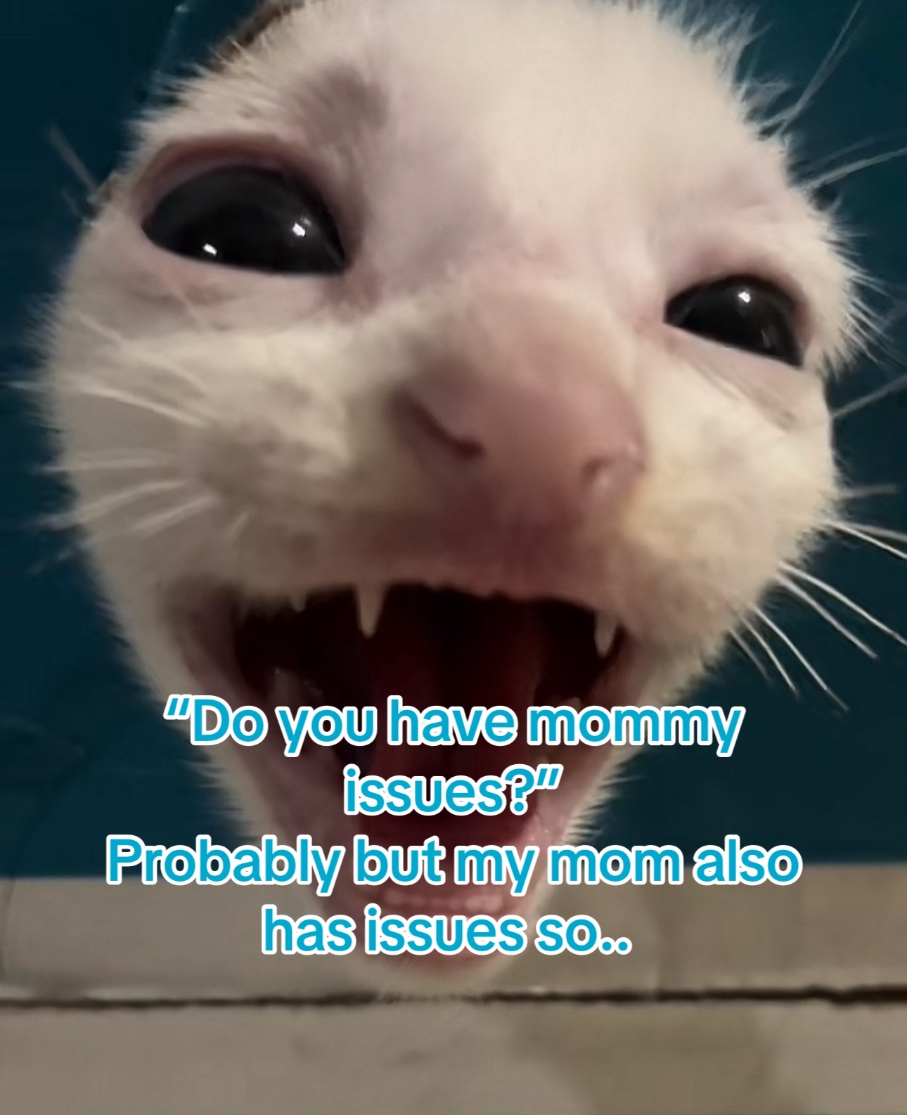 @⋆˚🐾˖° Corey ⋆˚🐾˖°