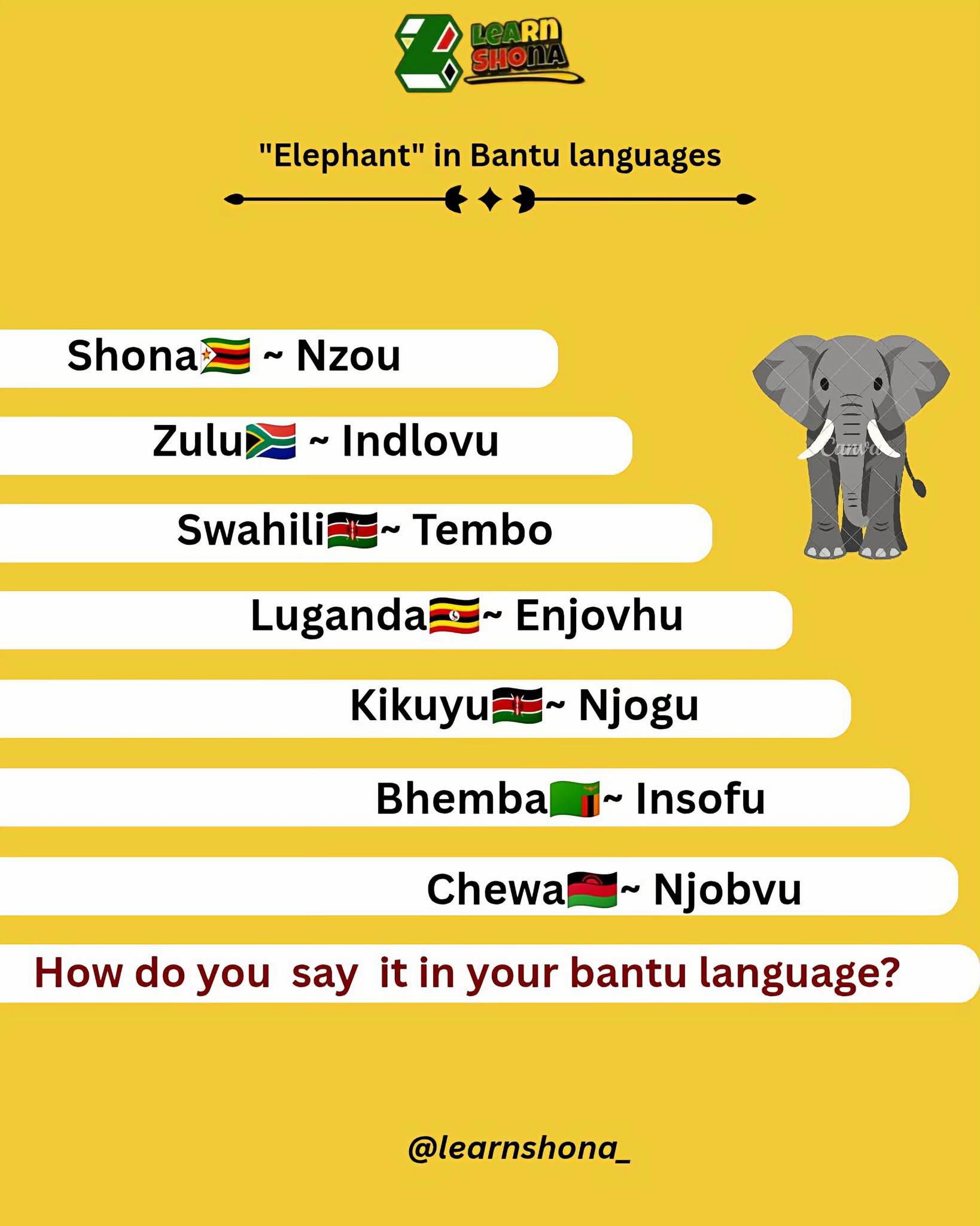 @Learn Shona