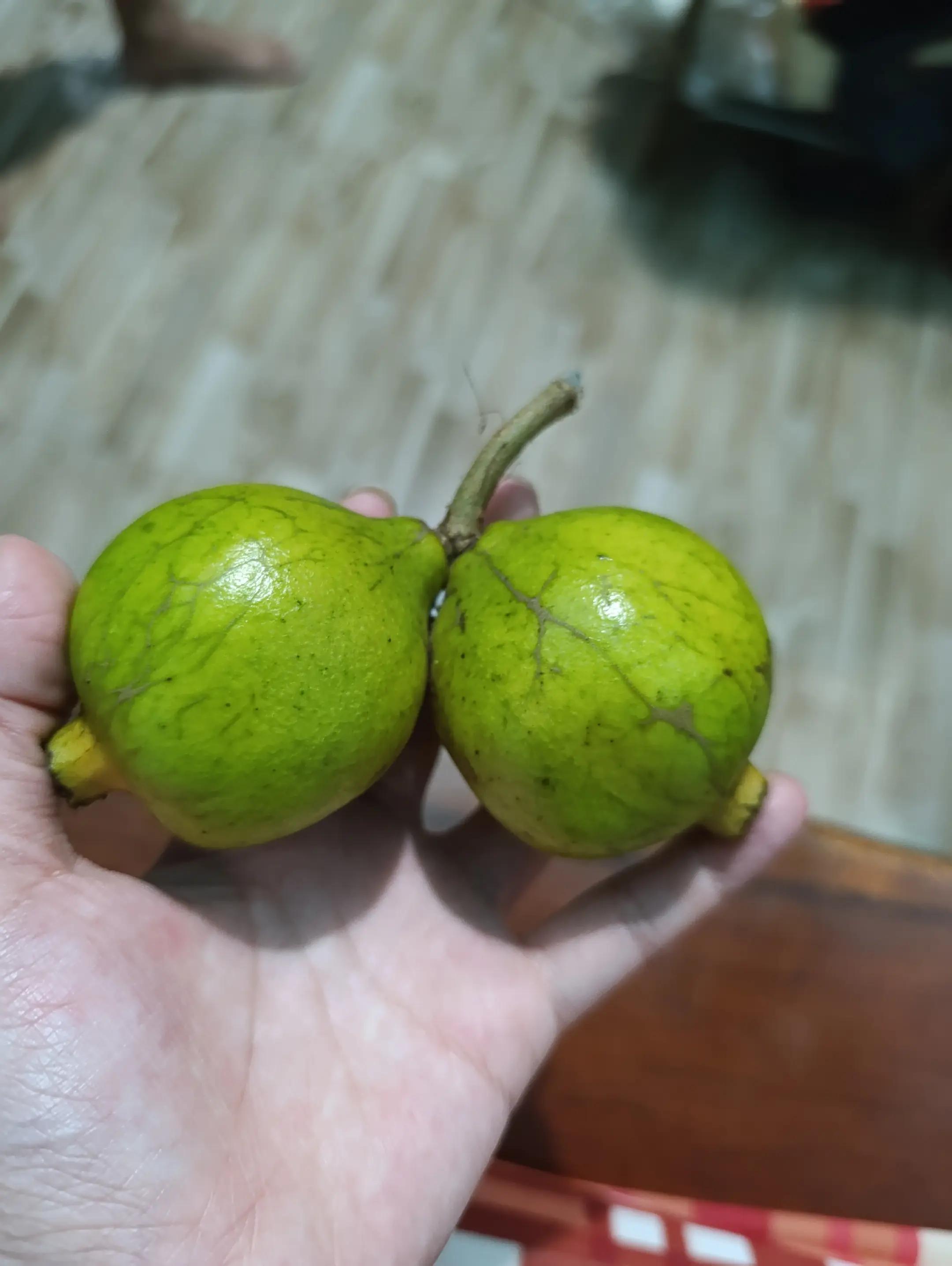@Bích Ngọc DIỆU BÁU