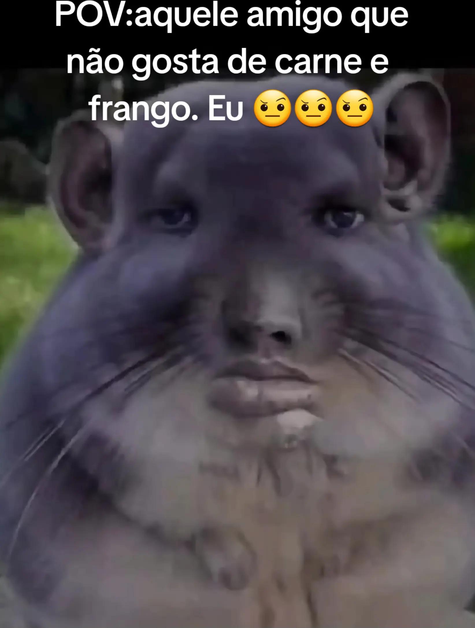 @gui.stx