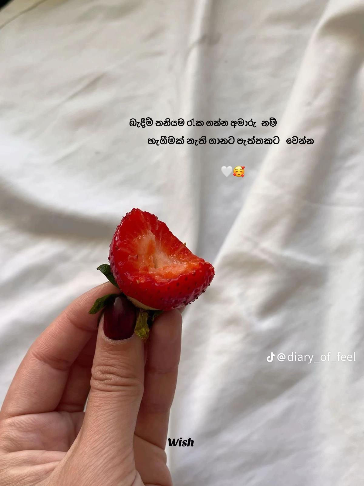 @Lakshini Shashiprabha