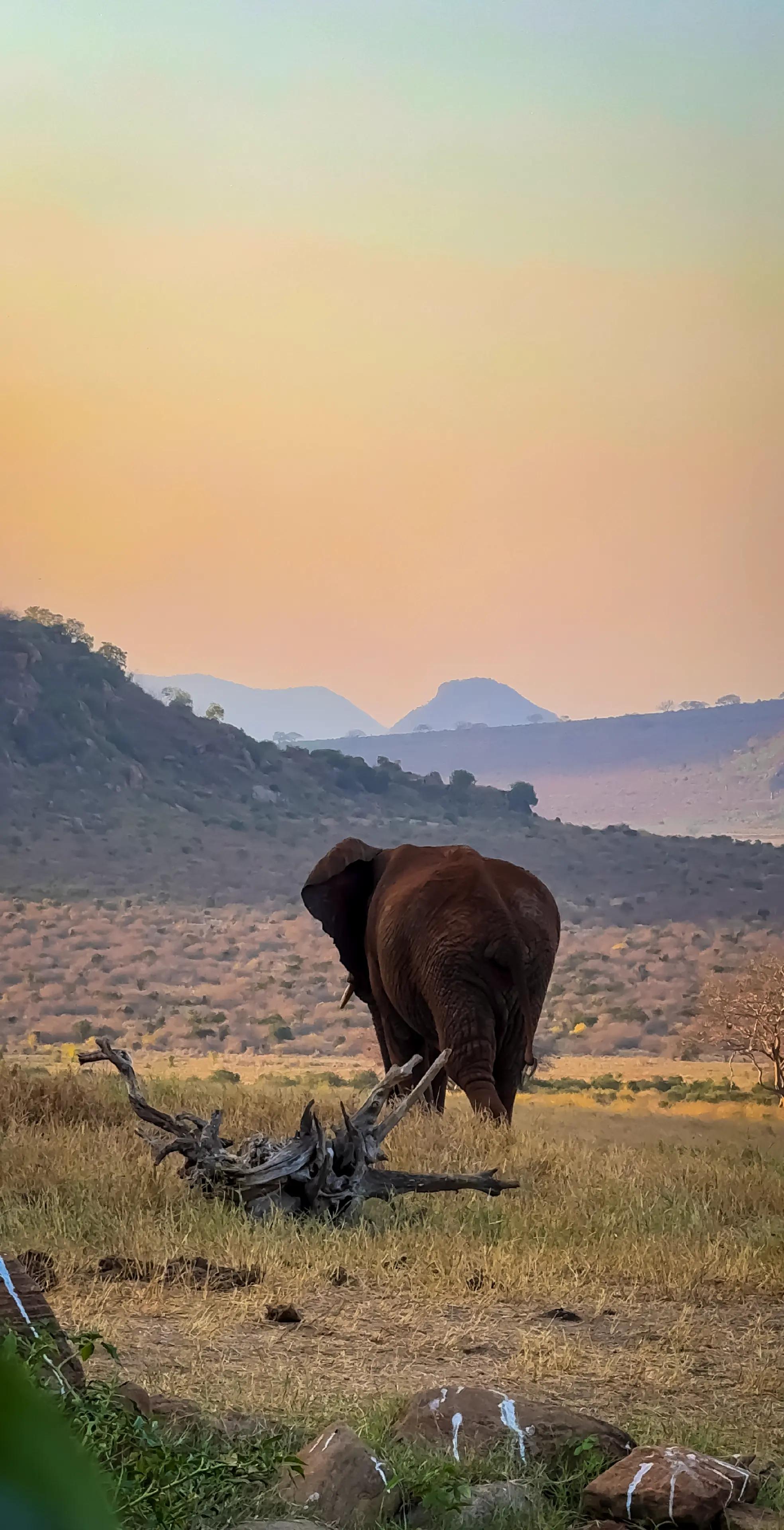 @Lensplush_media