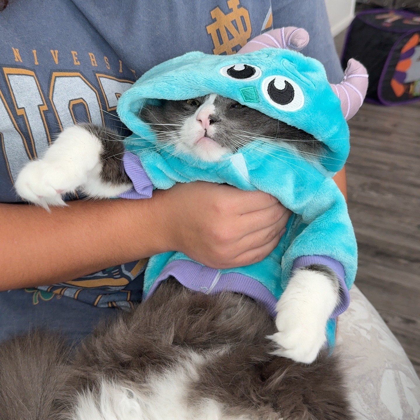 @Hella Paws