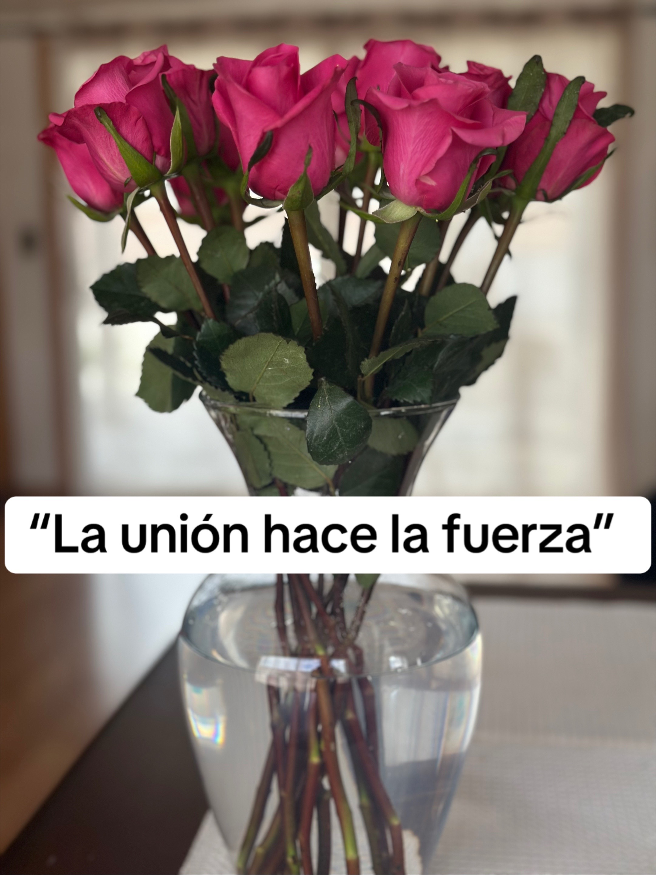 @rebeca.gr04