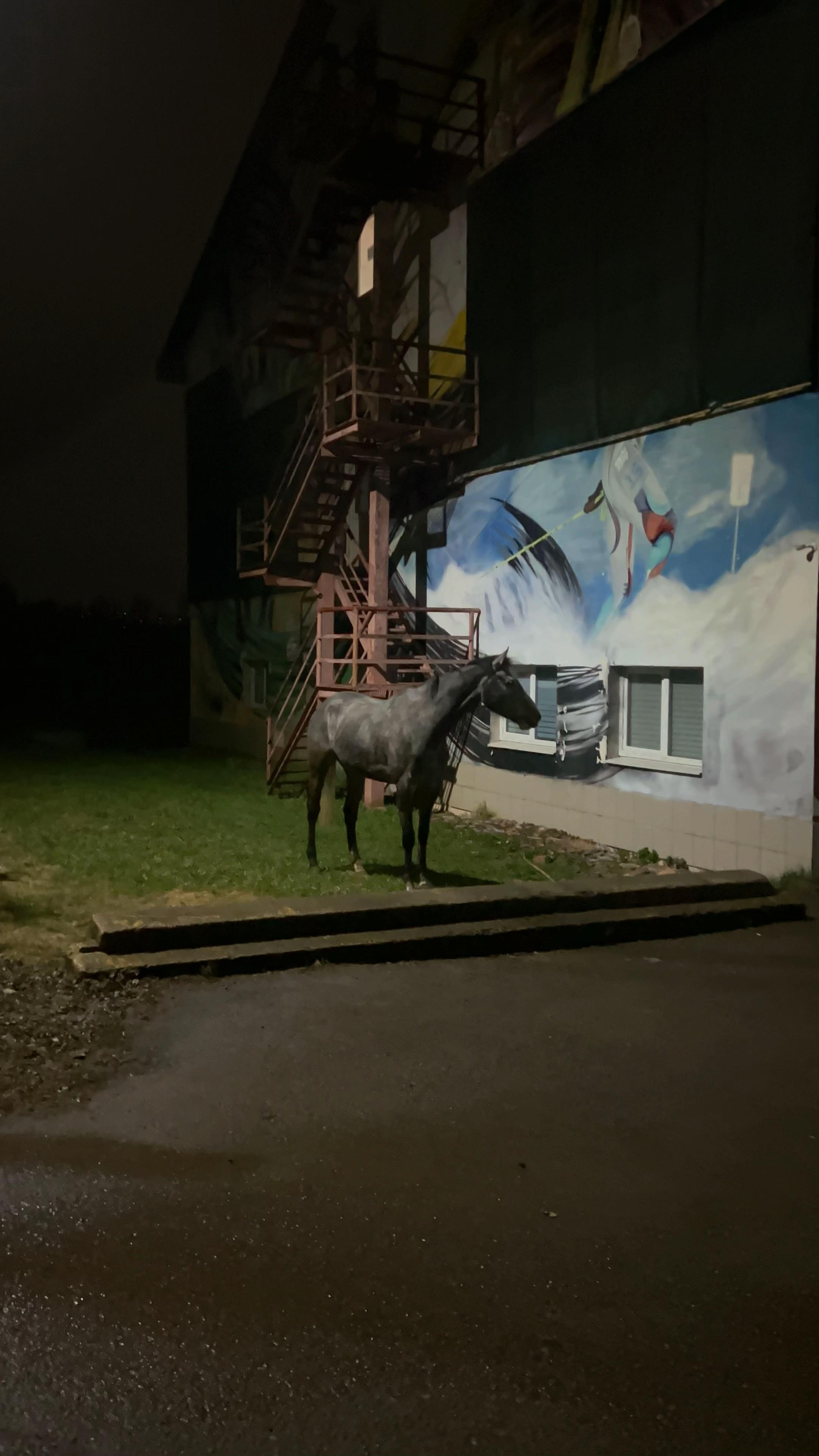 @Аркаша