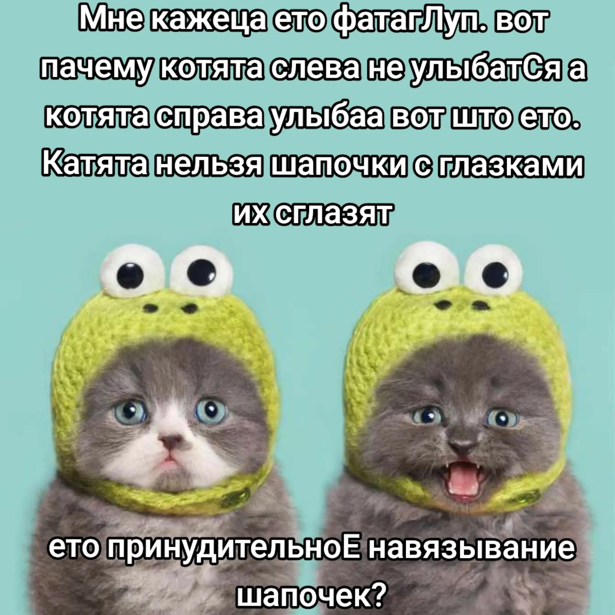 @блогер кича
