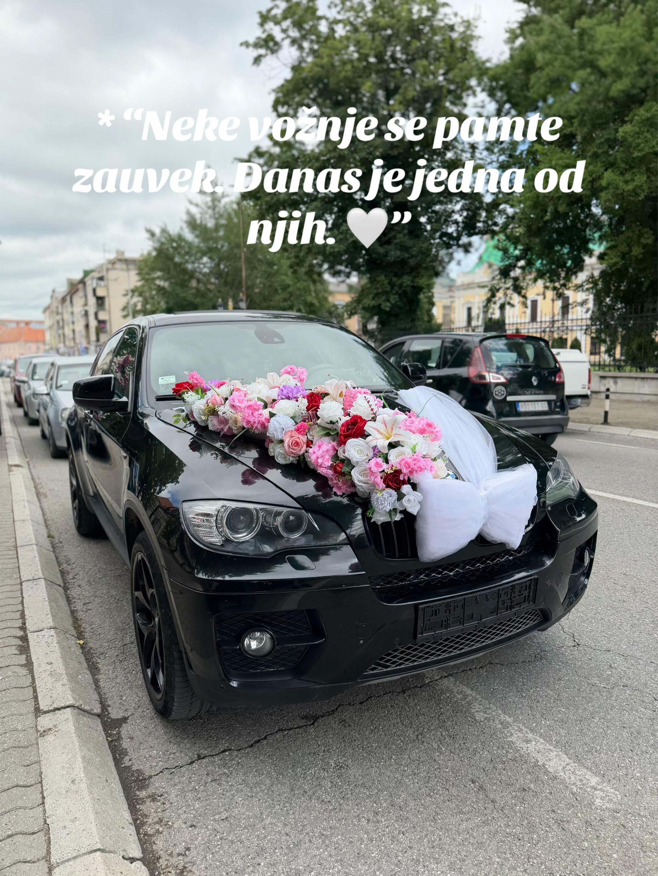 @Crni-panter
