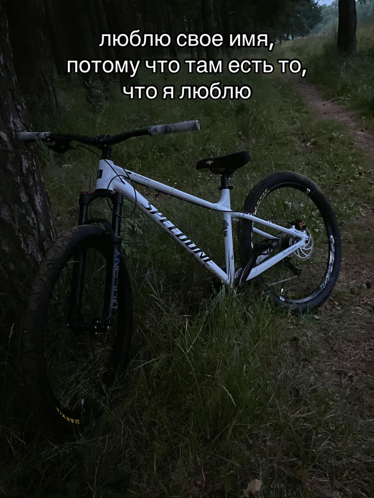 @марсианин🚳