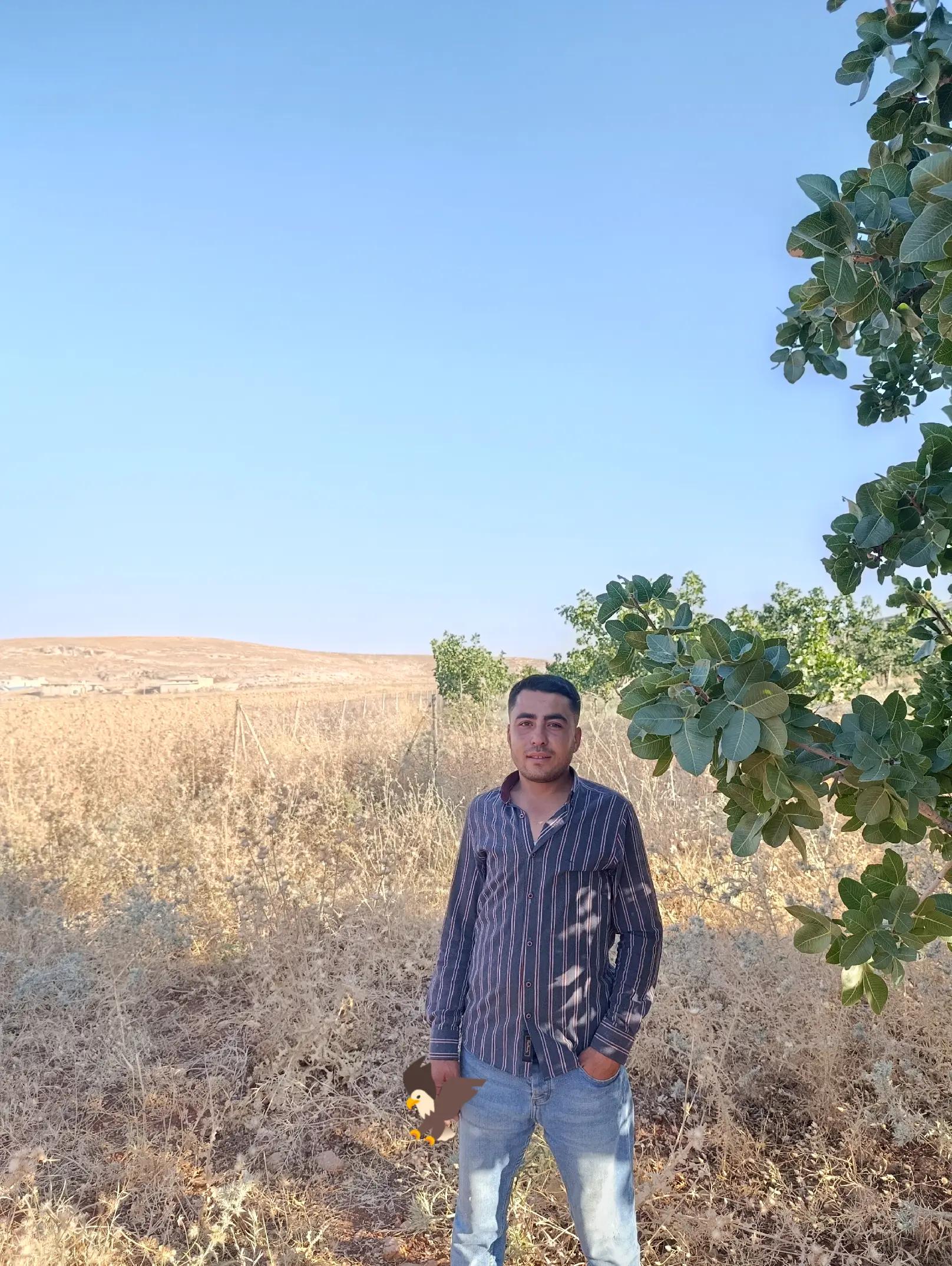 @İbrahim ığnak
